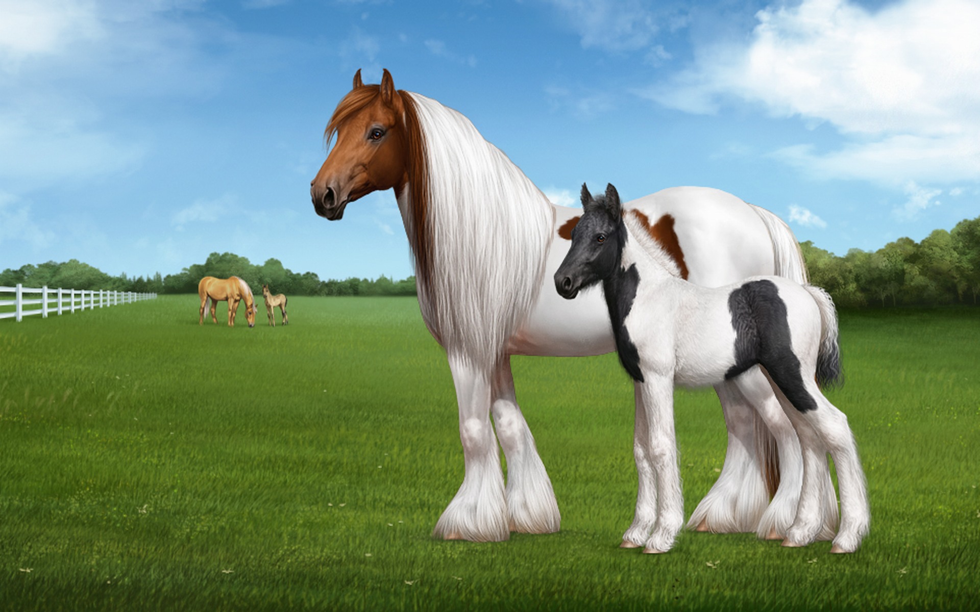 Beautiful Horses Wallpapers