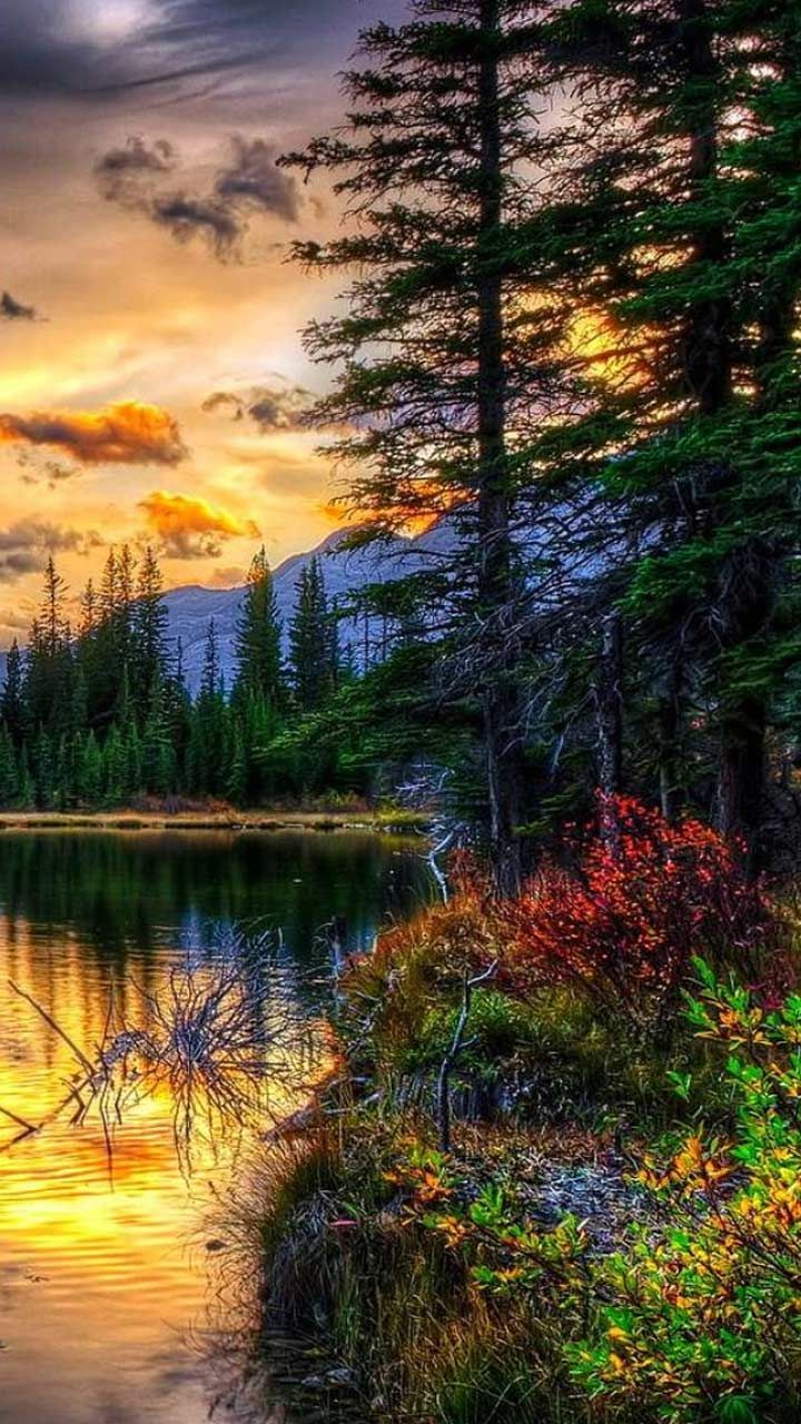 Beautiful Landscape Phone Wallpapers Wallpapers