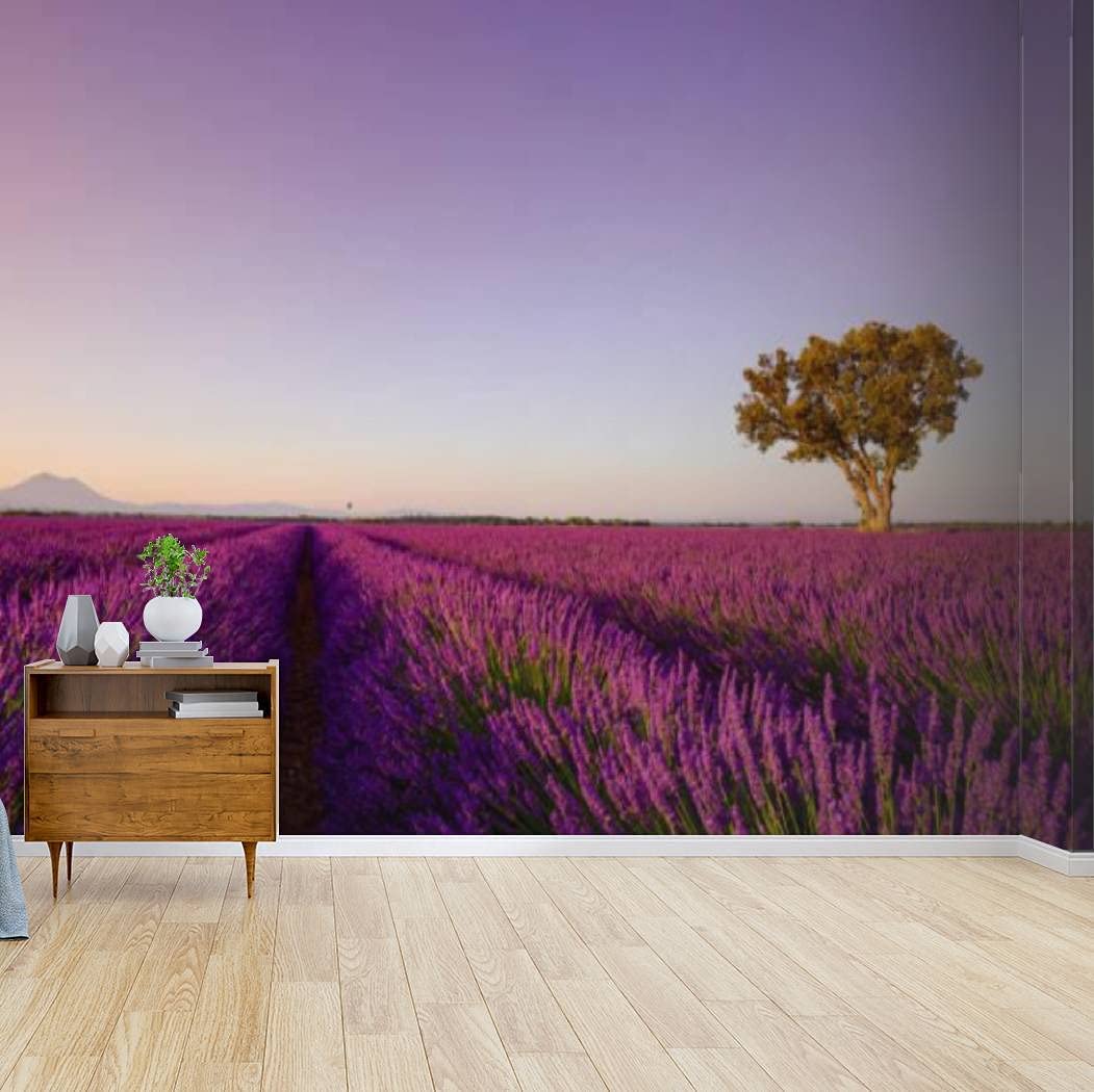 Beautiful Lavender Field Wallpapers Wallpapers