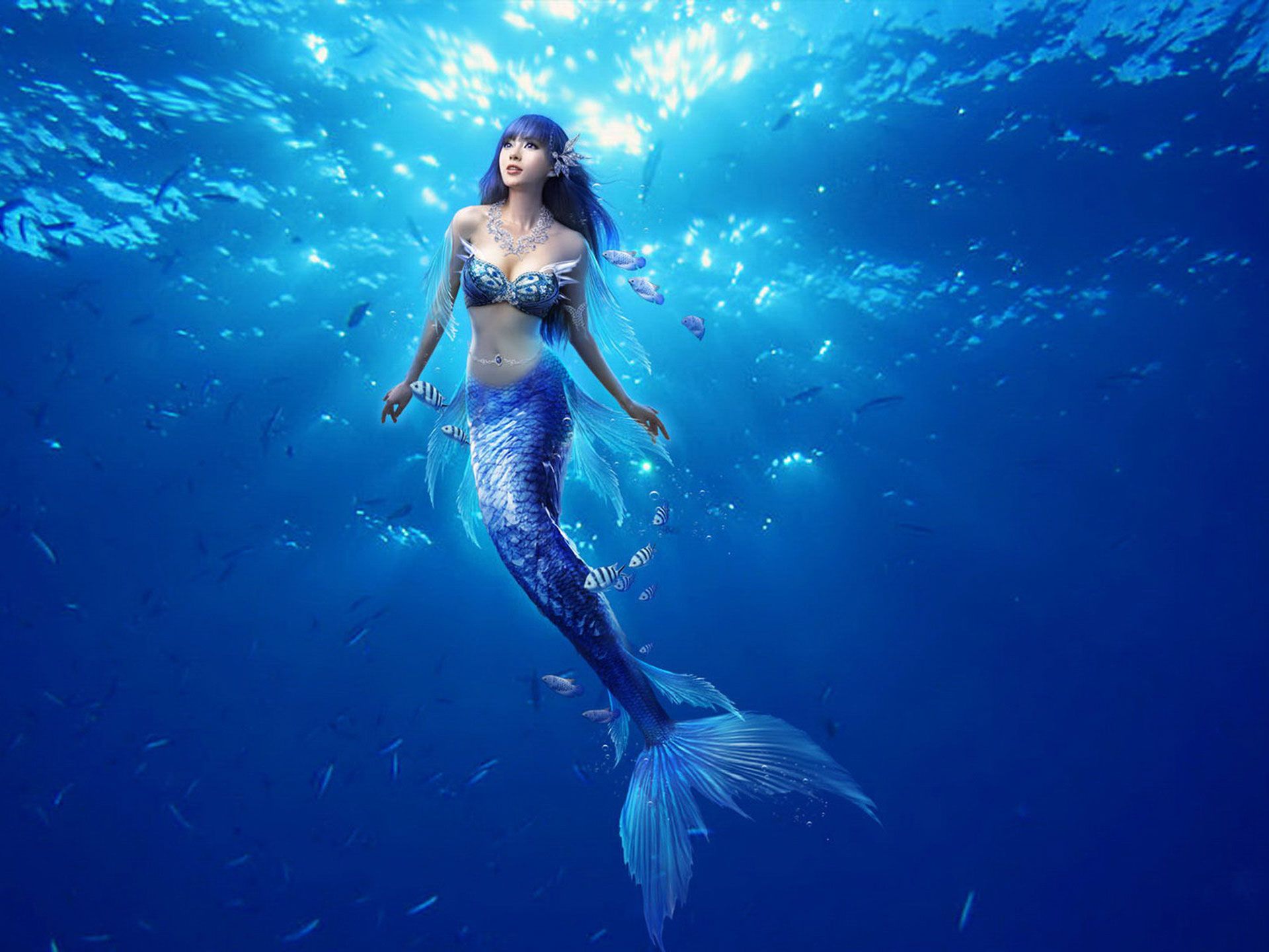 Beautiful Mermaid Wallpapers Wallpapers