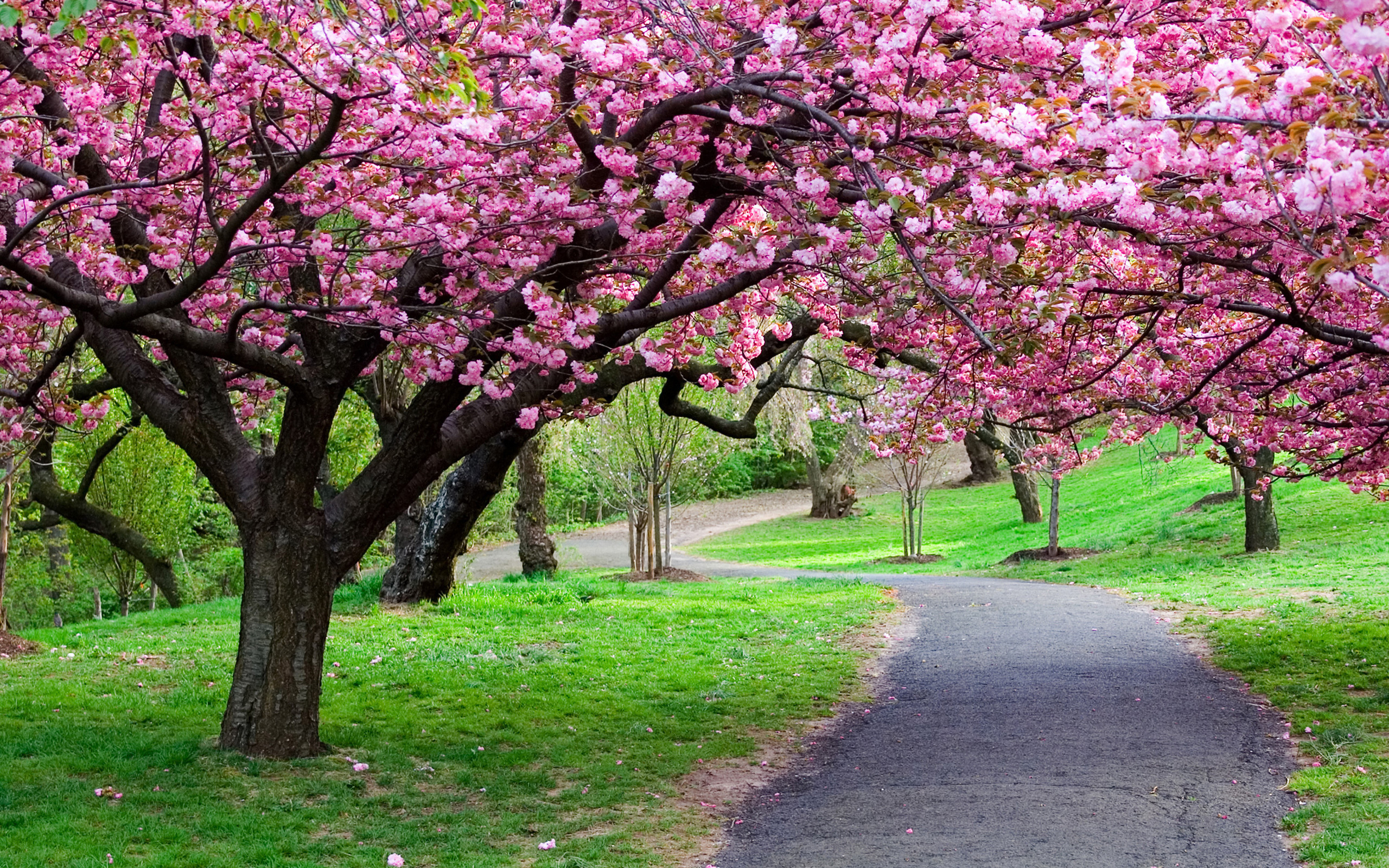 Beautiful Nature Spring Wallpapers