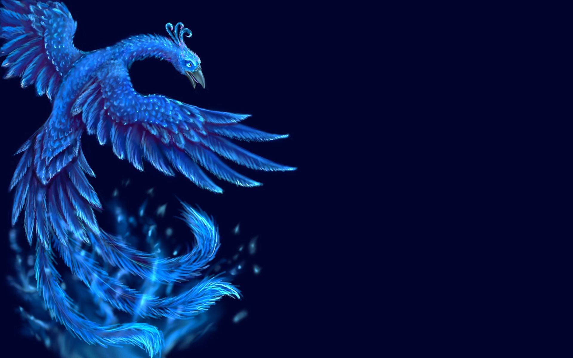 Beautiful Phoenix Wallpapers