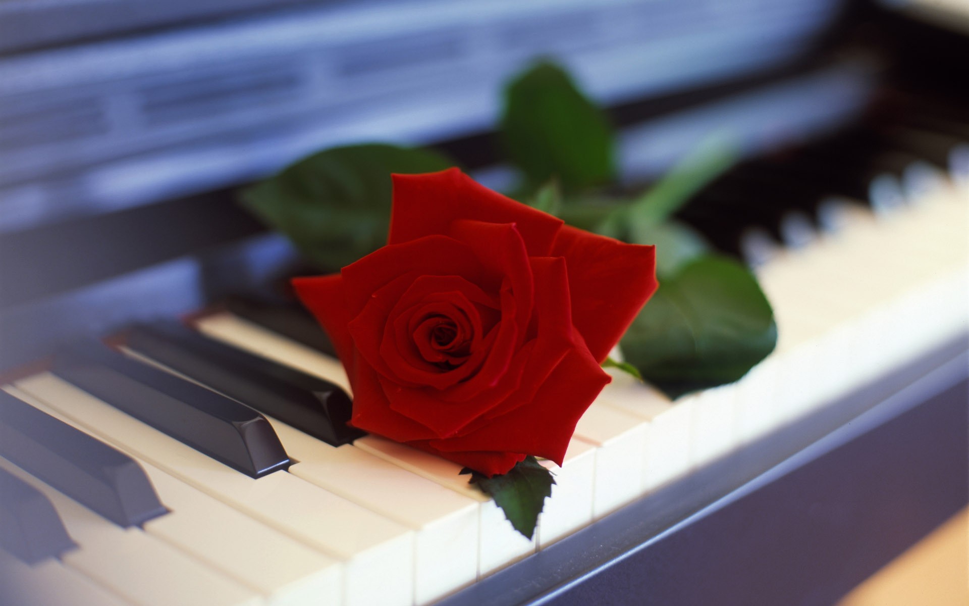 Beautiful Piano Wallpapers