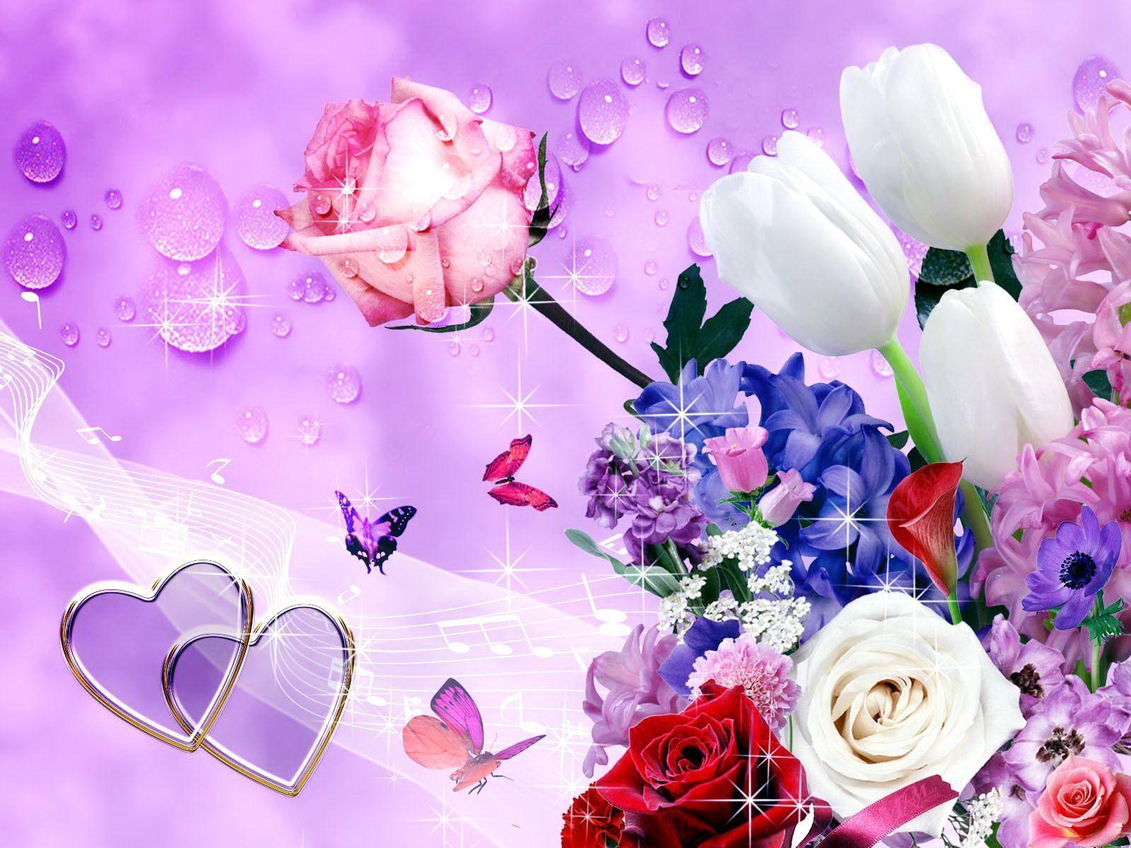 Beautiful Pink Roses Wallpapers Wallpapers