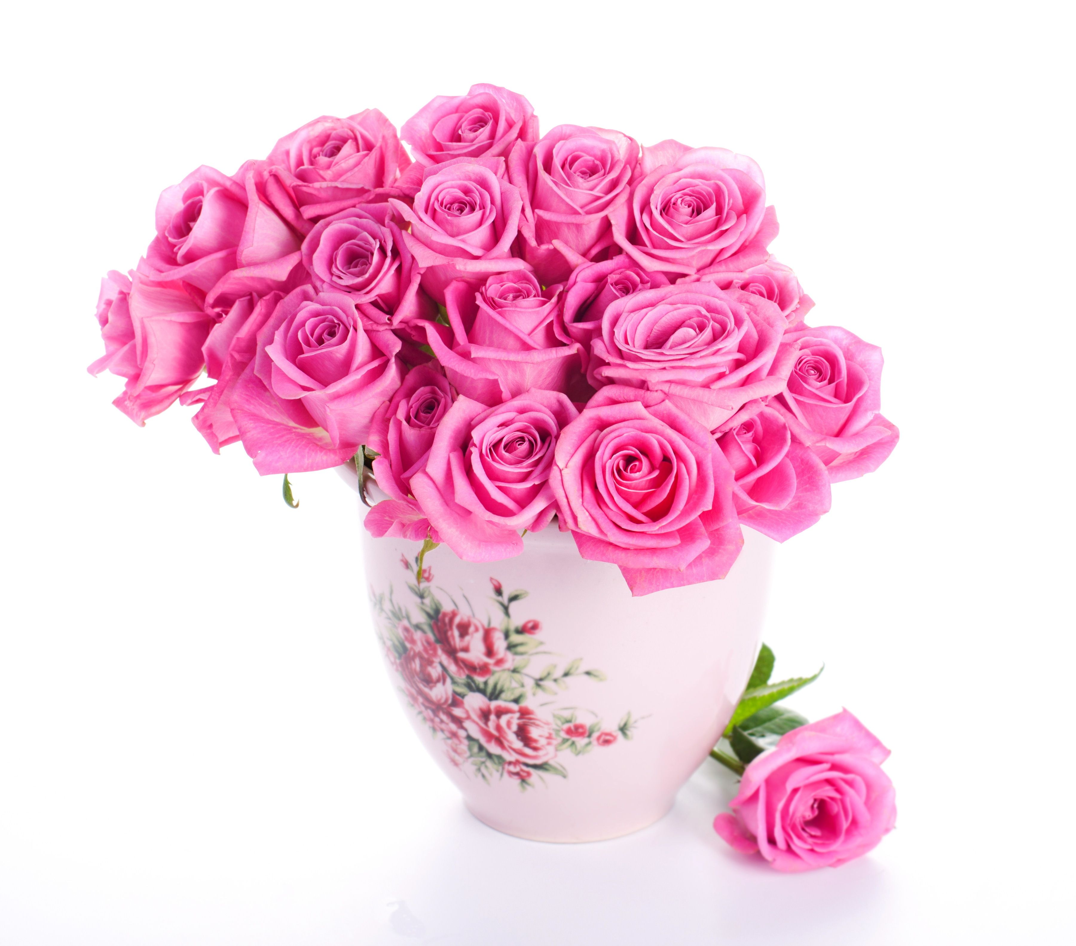 Beautiful Pink Roses Wallpapers Wallpapers