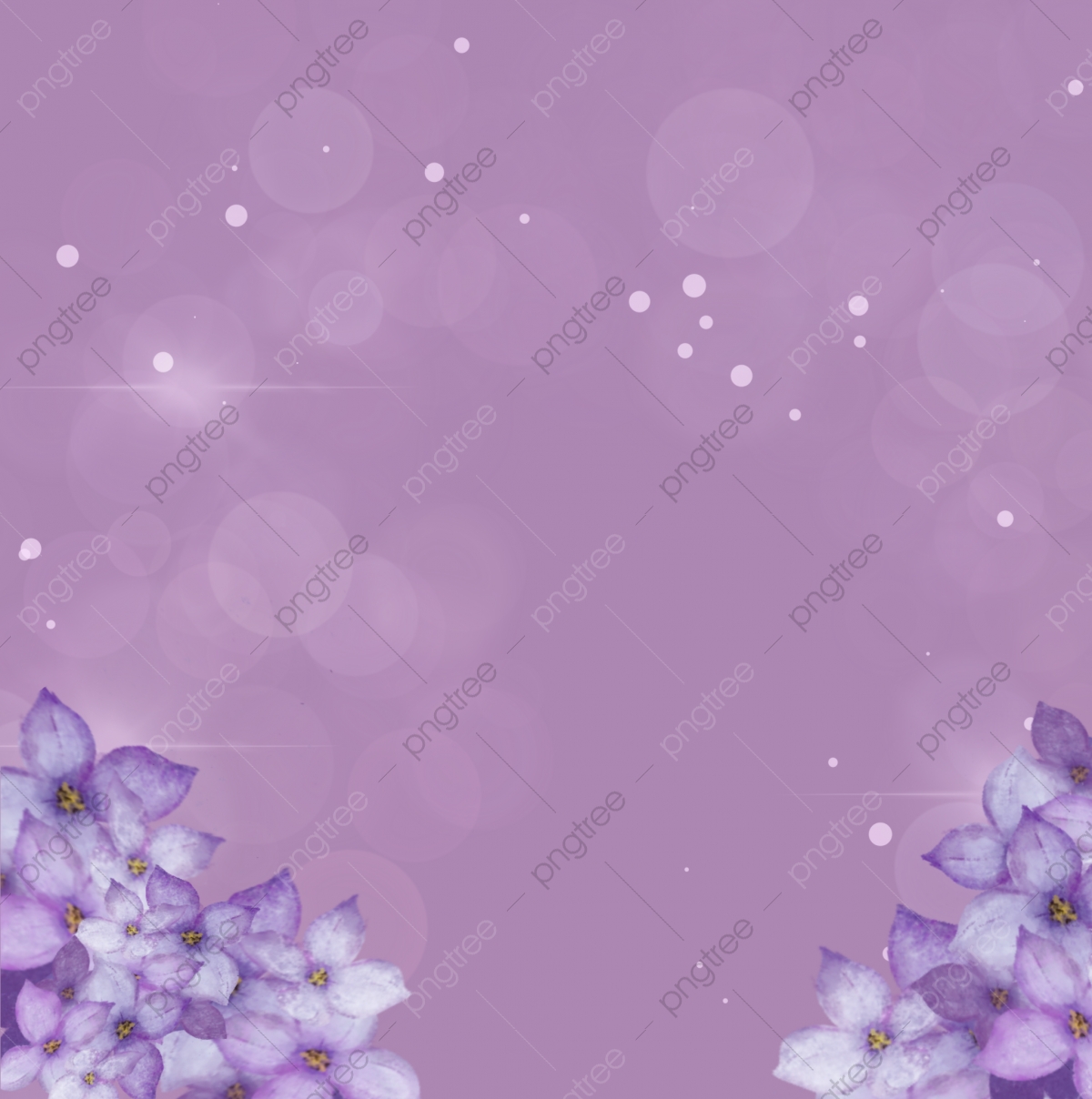 Beautiful Purple Wallpapers