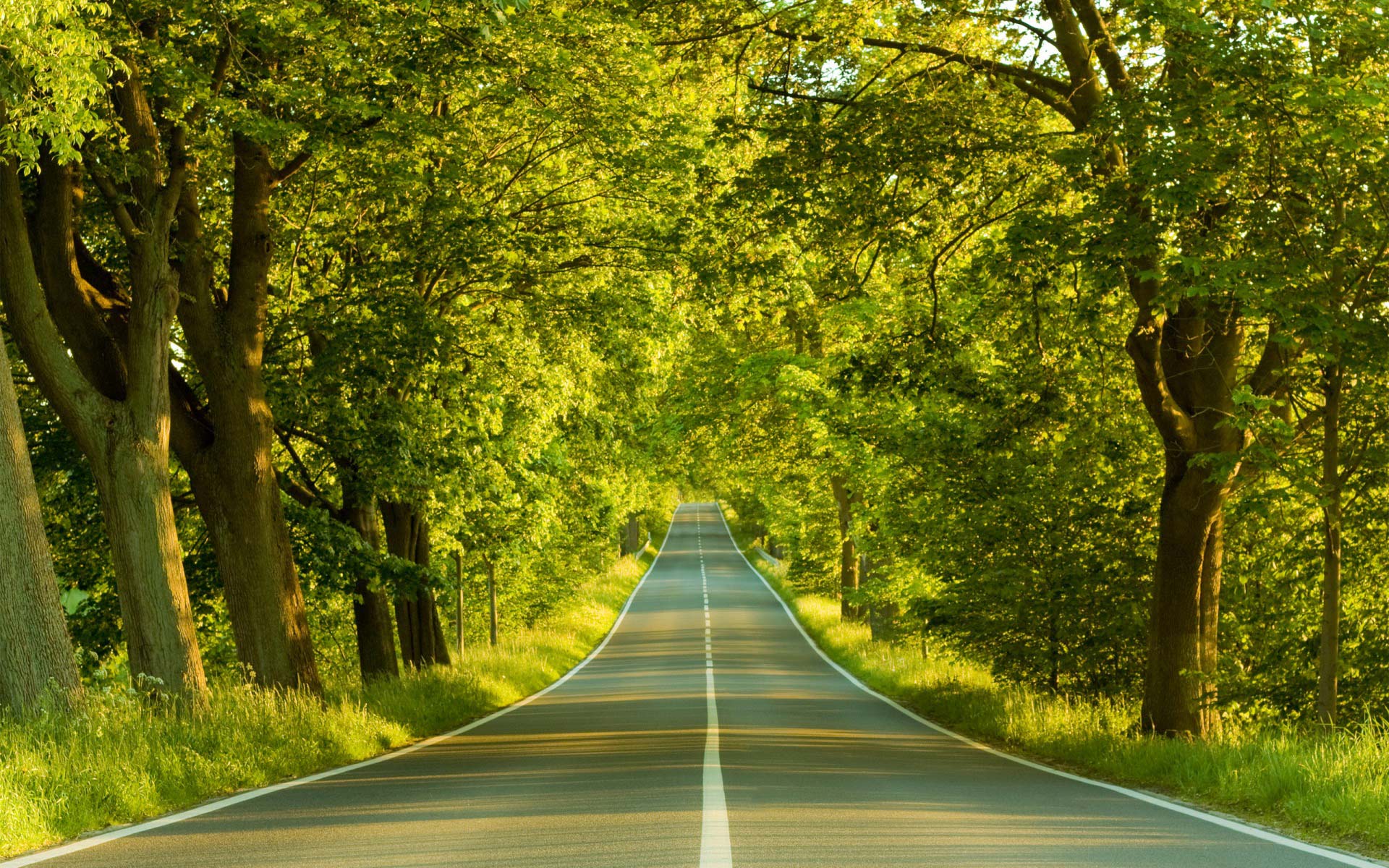 Beautiful Roads Wallpapers