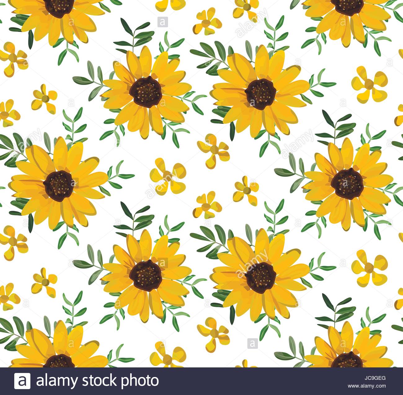 Beautiful Roses And Sunflower Wallpapers