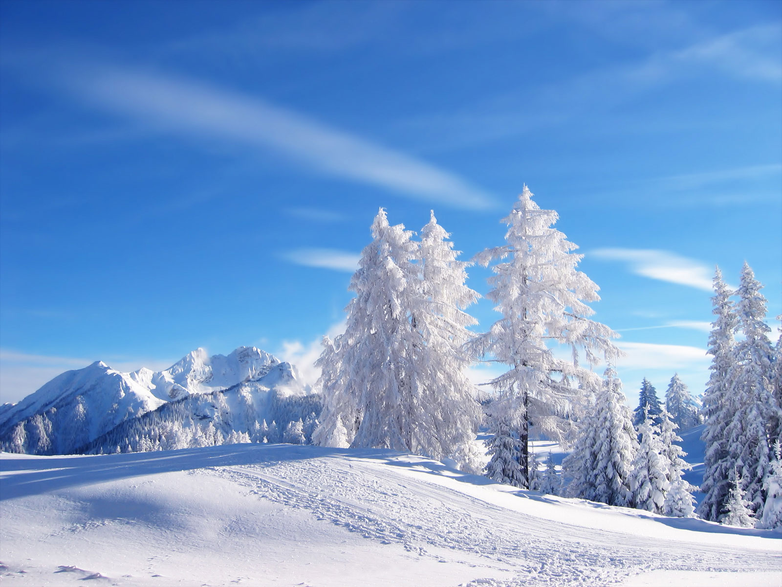 Beautiful Snow Scenes Wallpapers