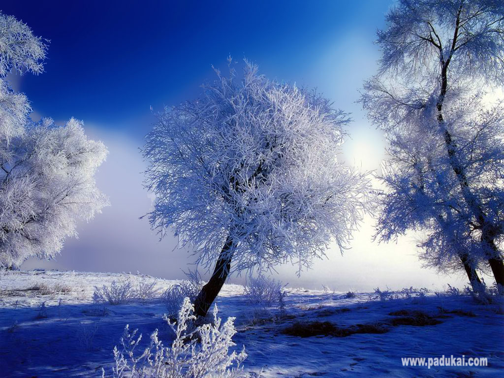 Beautiful Snow Scenes Wallpapers