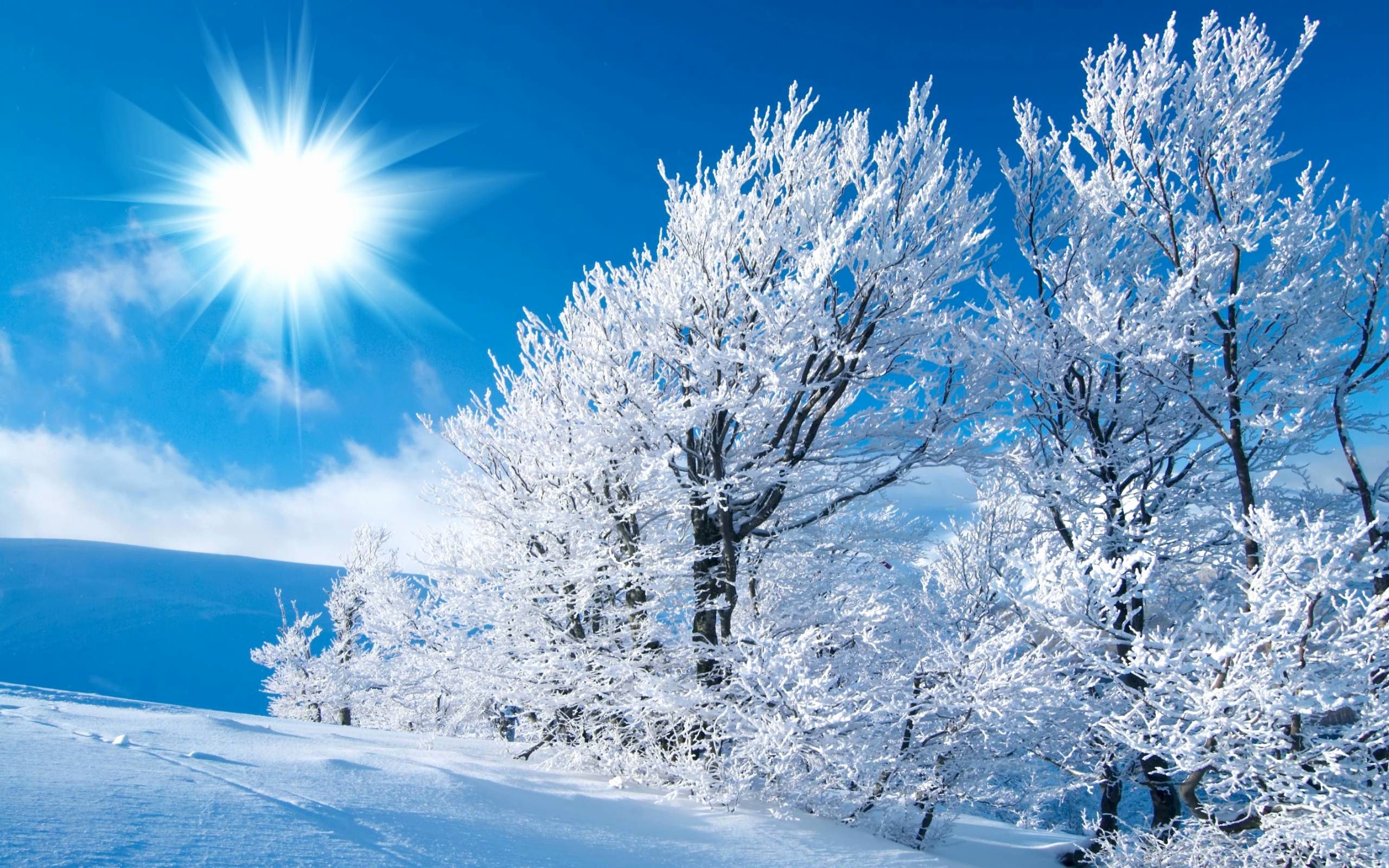 Beautiful Snow Scenes Wallpapers