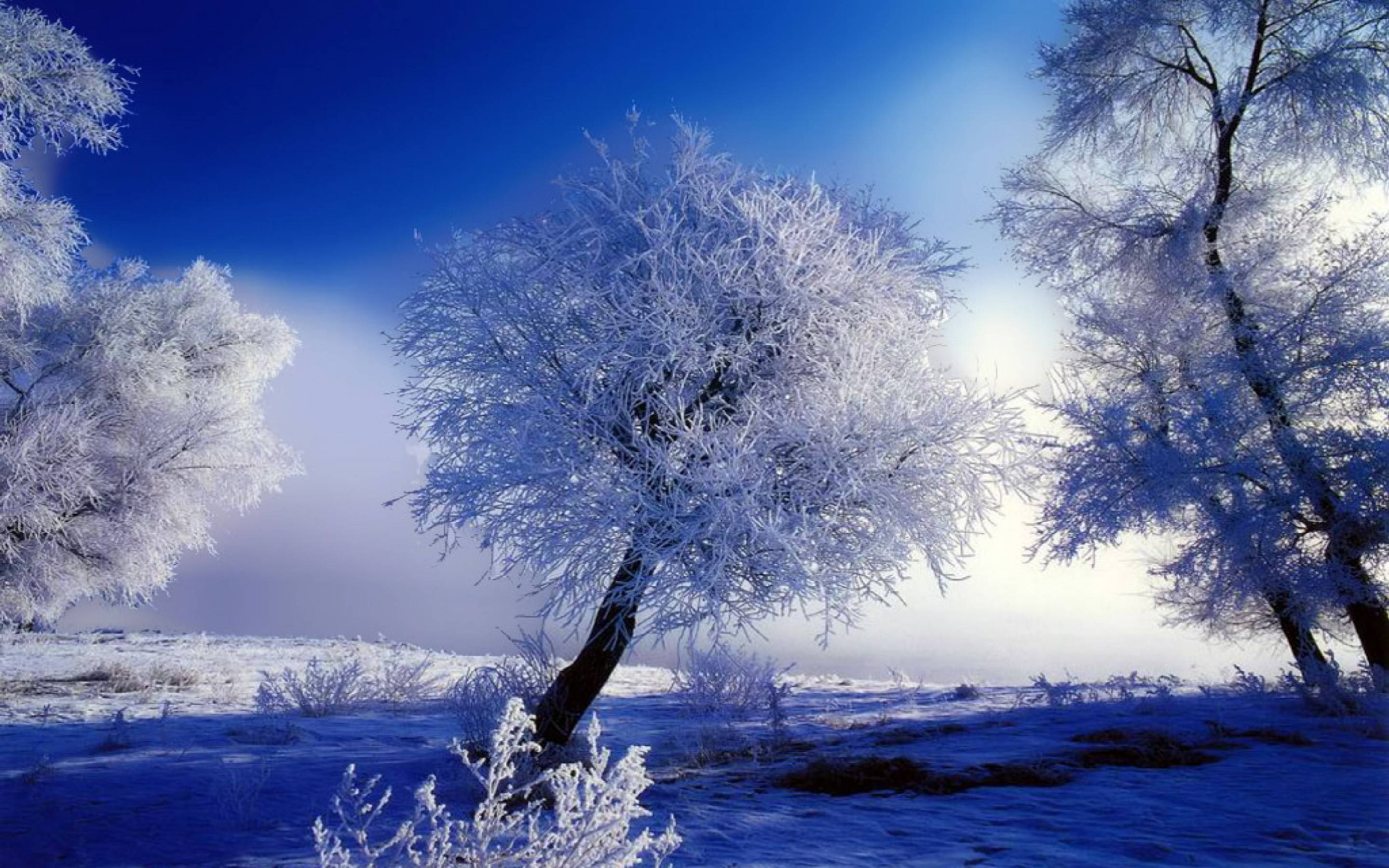 Beautiful Snow Wallpapers Wallpapers