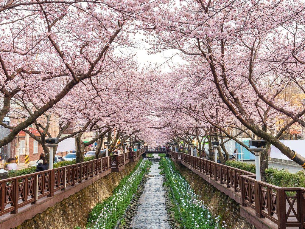 Beautiful South Korea Wallpapers