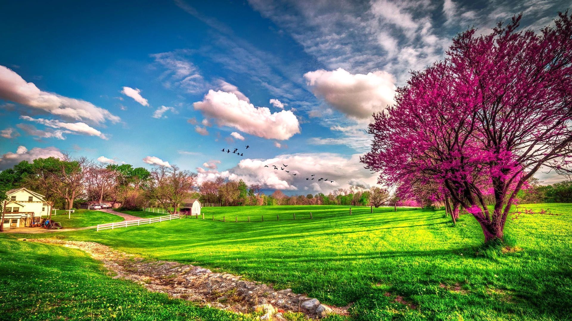 Beautiful Spring Desktop Wallpapers Wallpapers