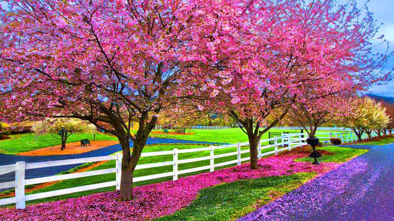 Beautiful Spring Desktop Wallpapers Wallpapers