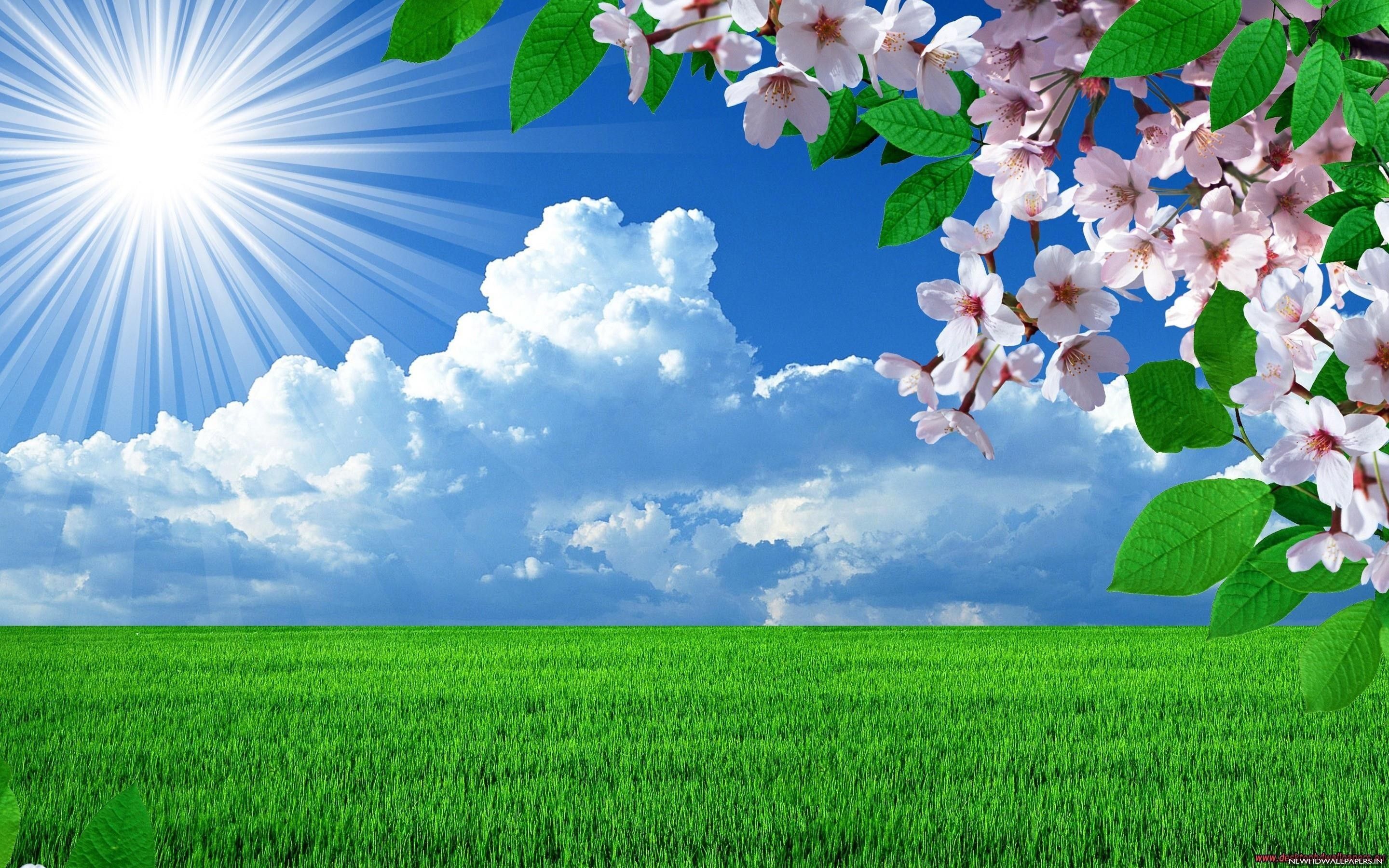 Beautiful Spring Desktop Wallpapers Wallpapers