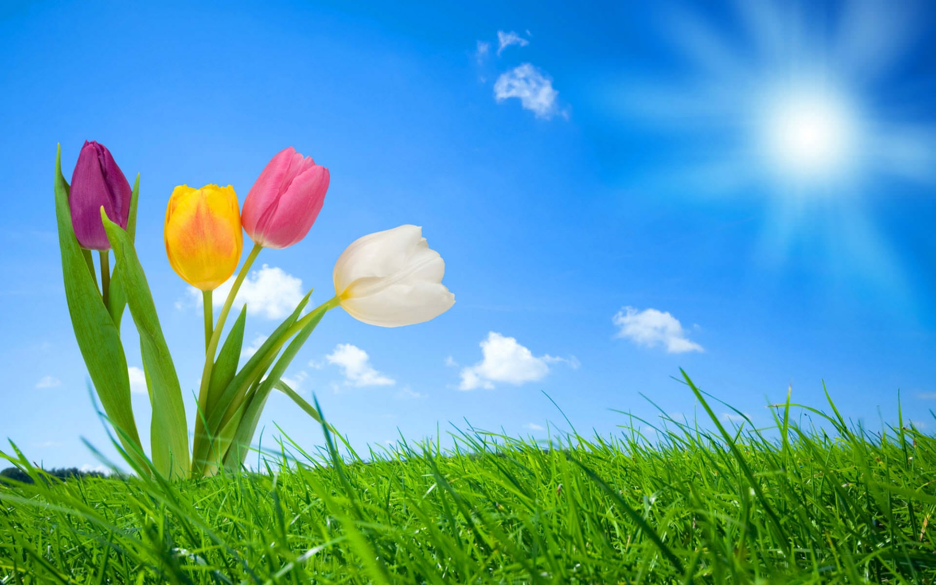 Beautiful Spring Desktop Wallpapers Wallpapers