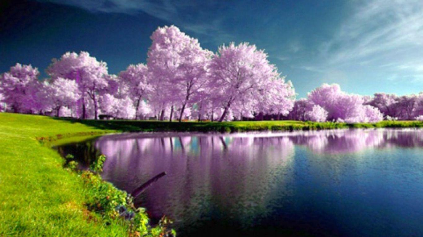 Beautiful Spring Scenery Wallpapers