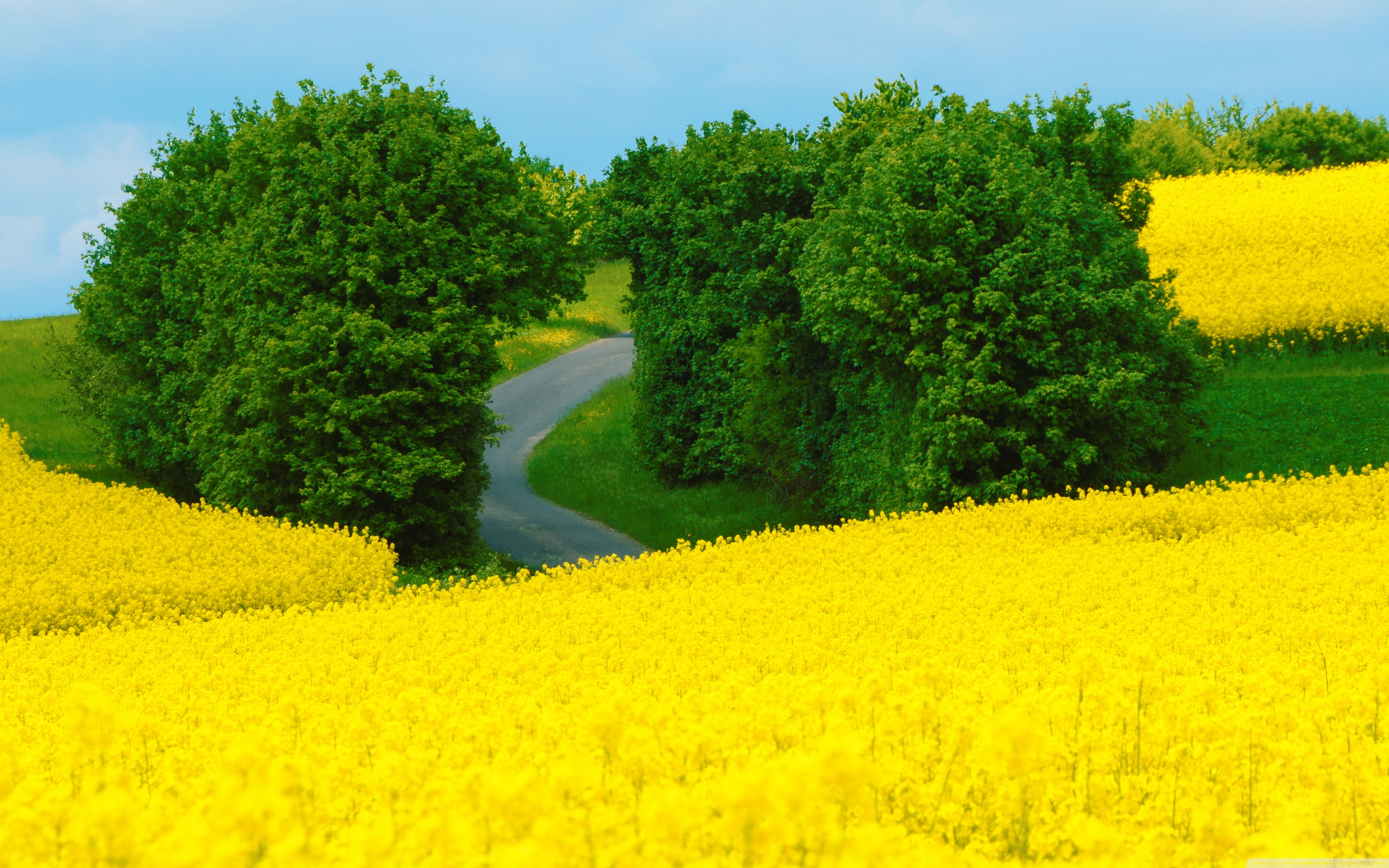 Beautiful Spring Scenery Wallpapers