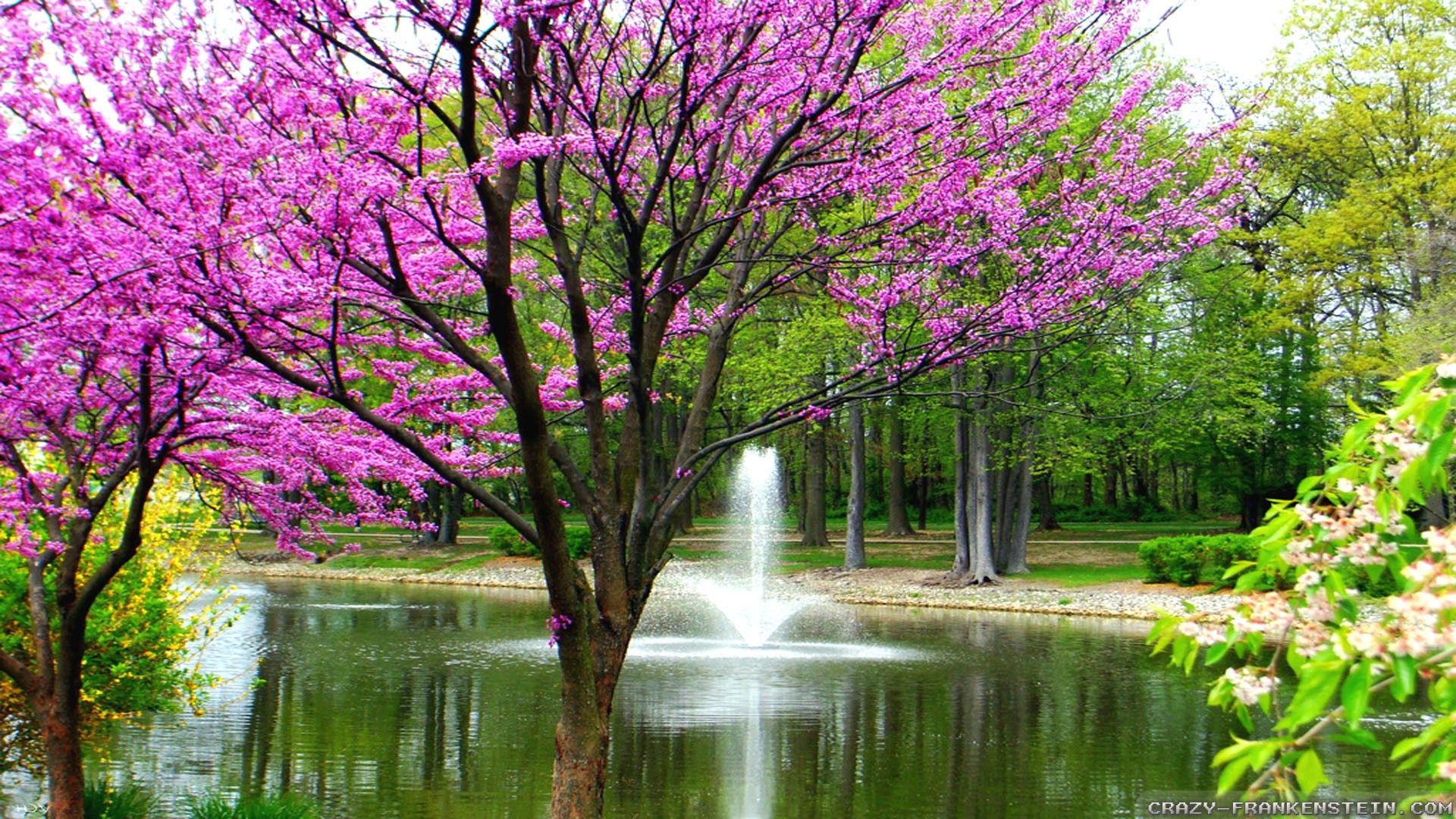 Beautiful Spring Scenery Wallpapers