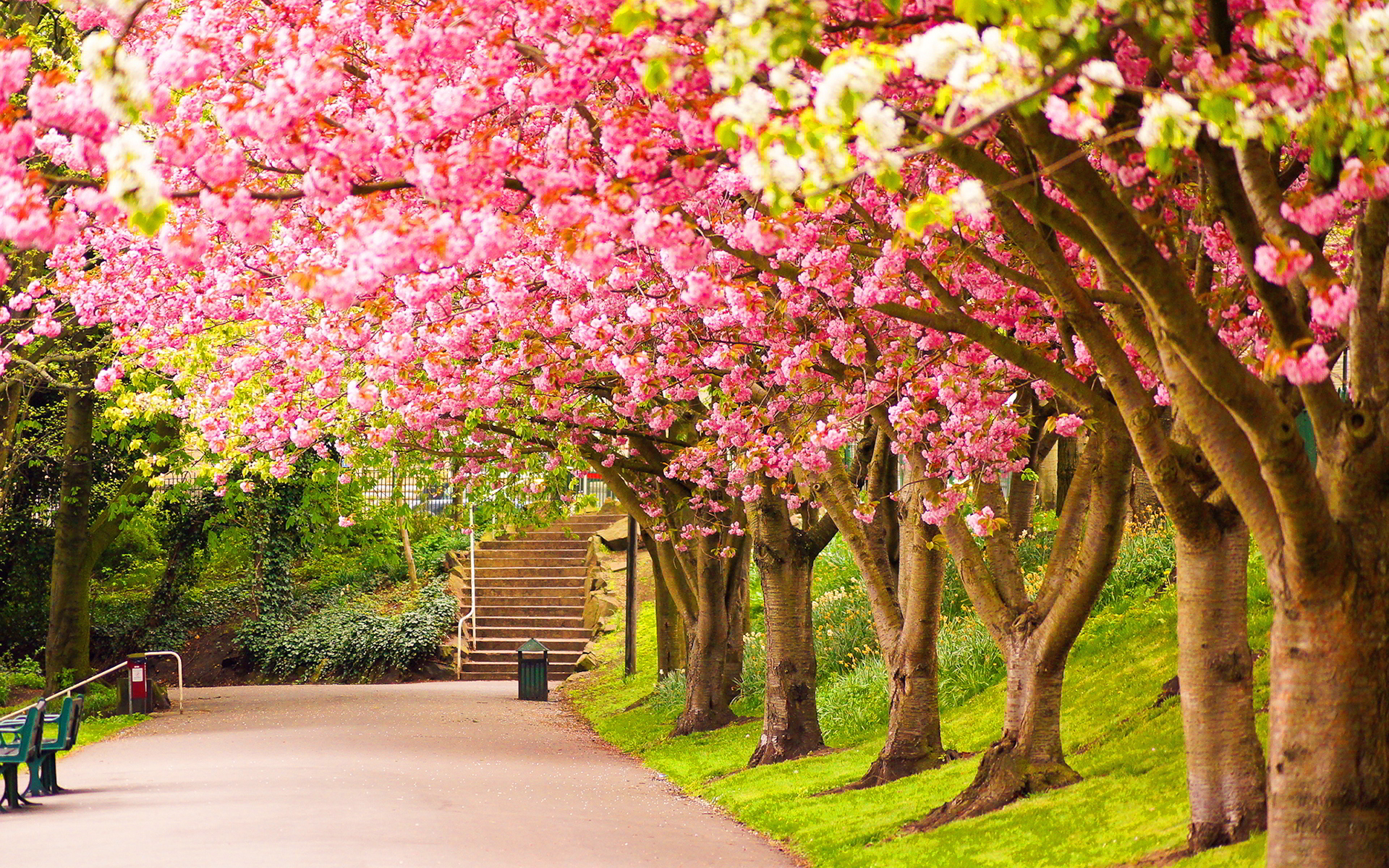 Beautiful Spring Scenery Wallpapers