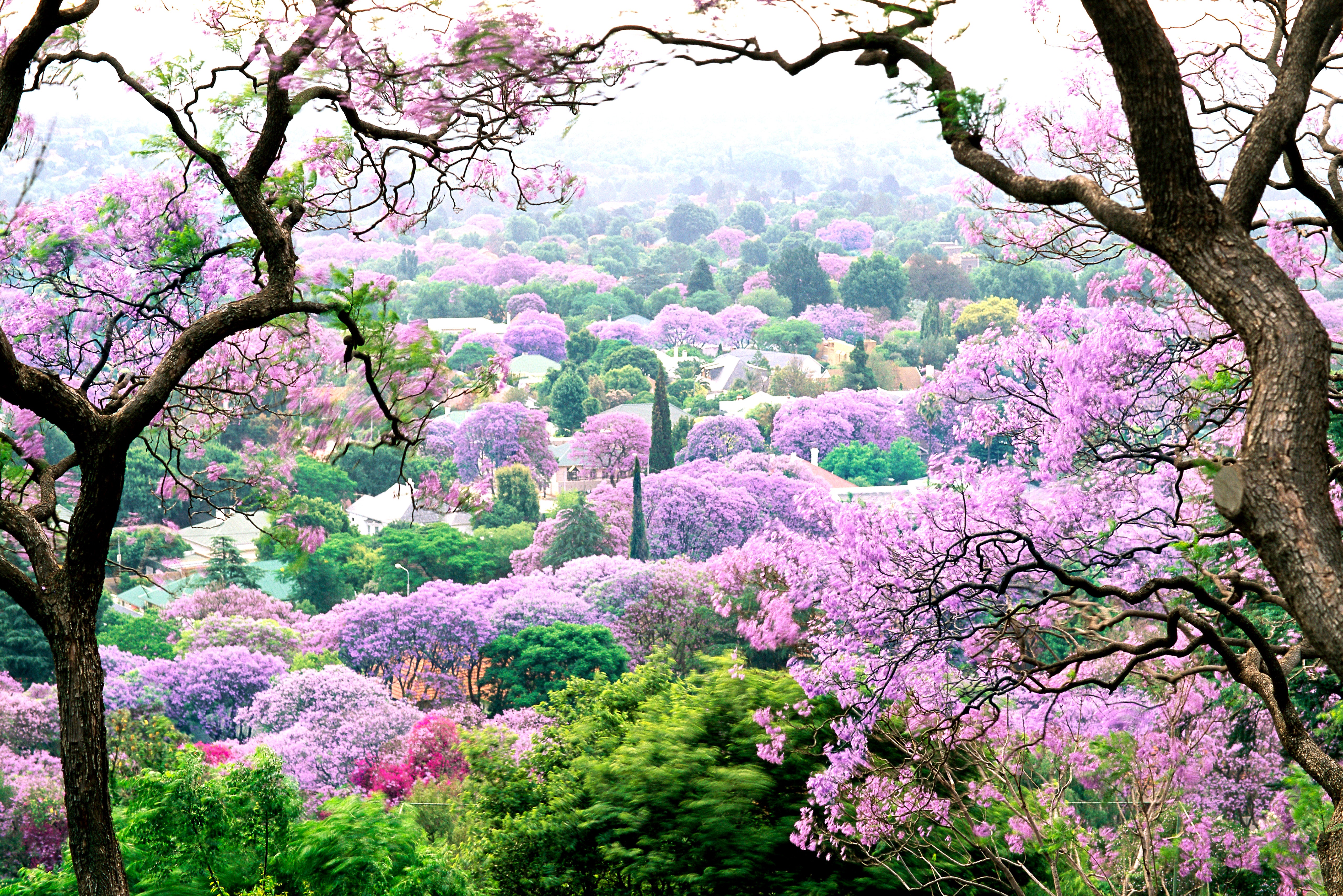 Beautiful Spring Scenery Wallpapers