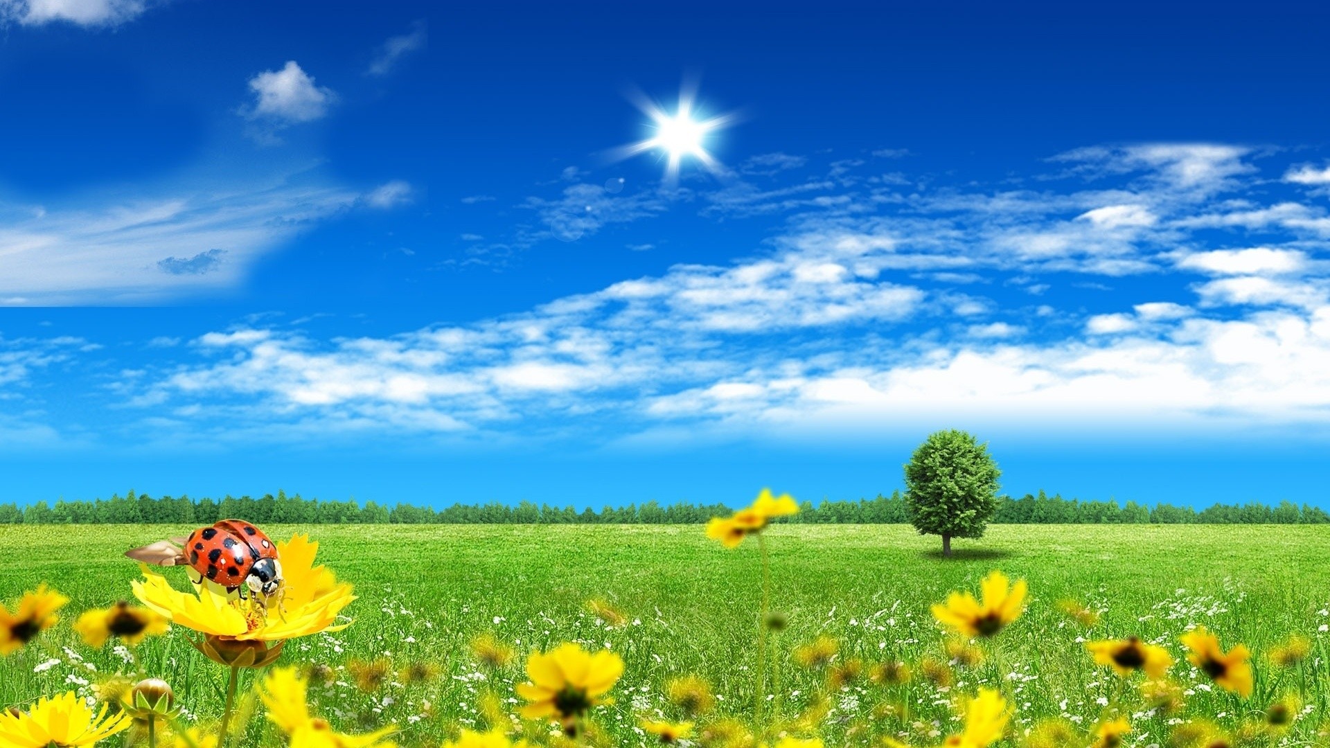 Beautiful Spring Scenery Wallpapers