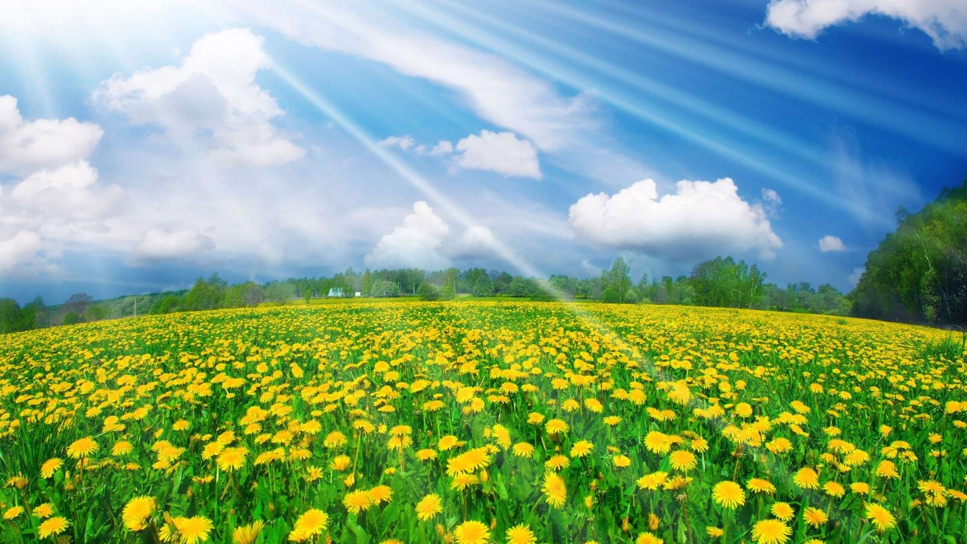 Beautiful Spring Scenery Wallpapers