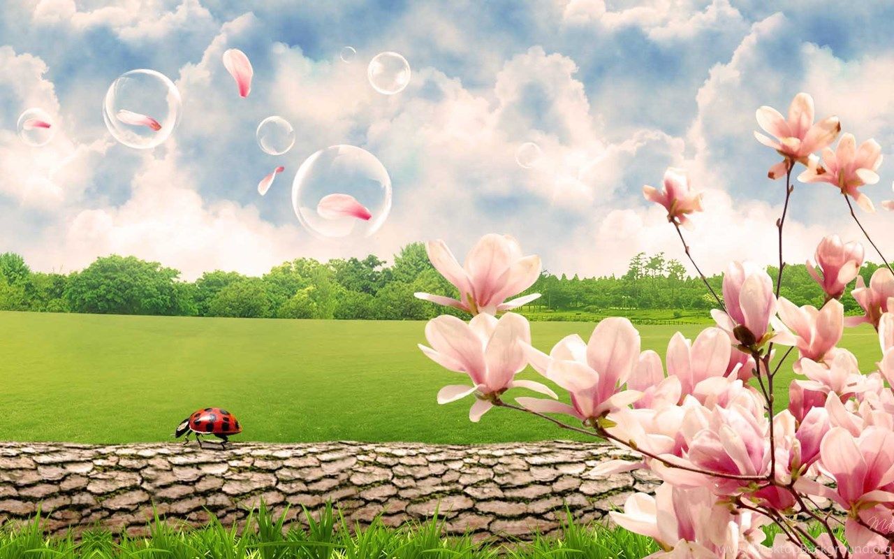 Beautiful Spring Scenery Wallpapers