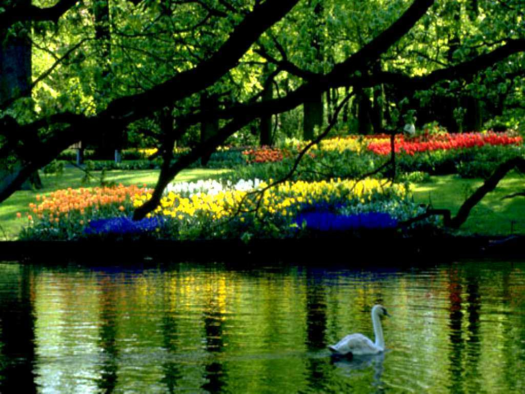 Beautiful Spring Scenery Wallpapers Wallpapers