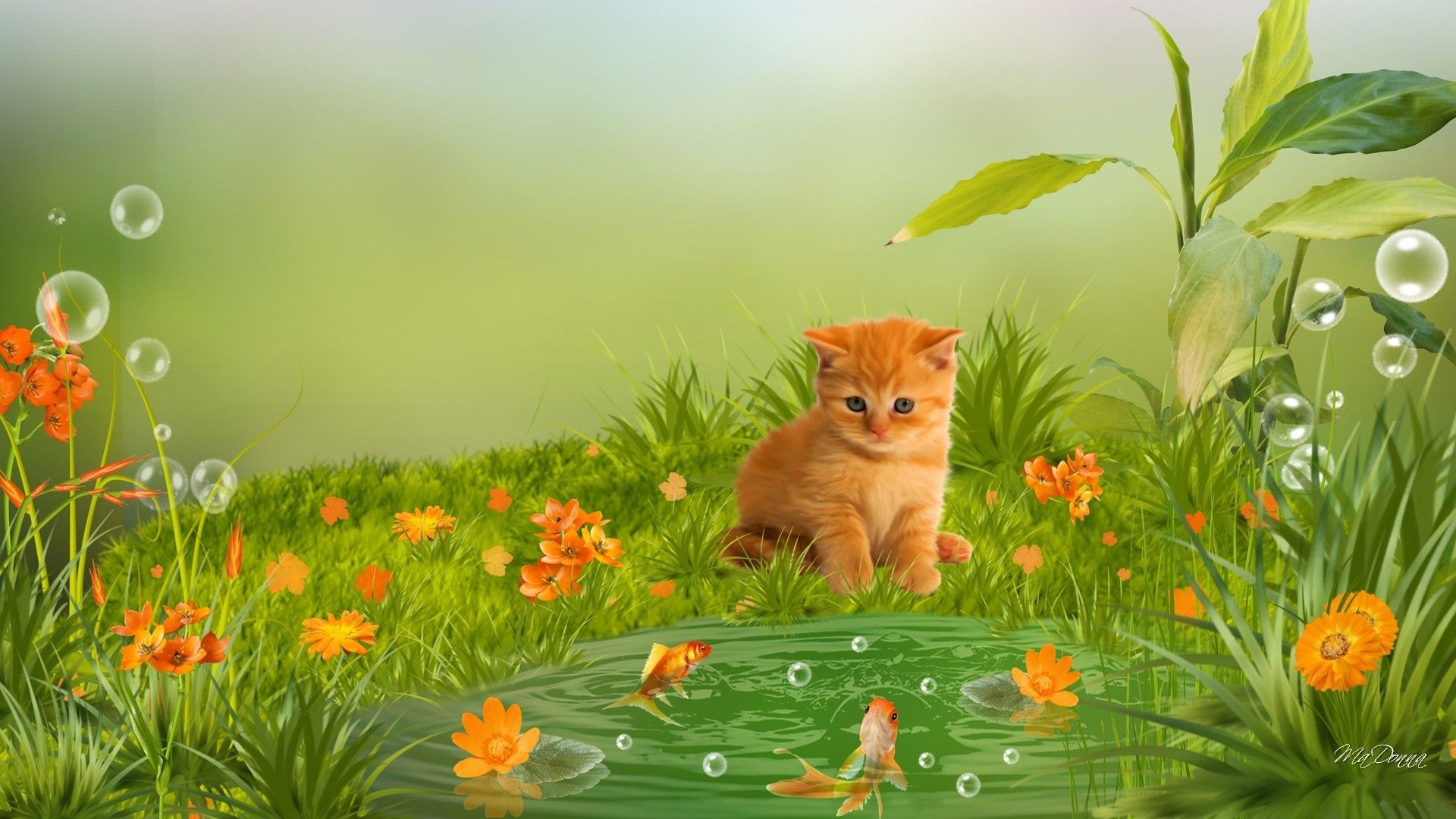 Beautiful Summer Cat Wallpapers