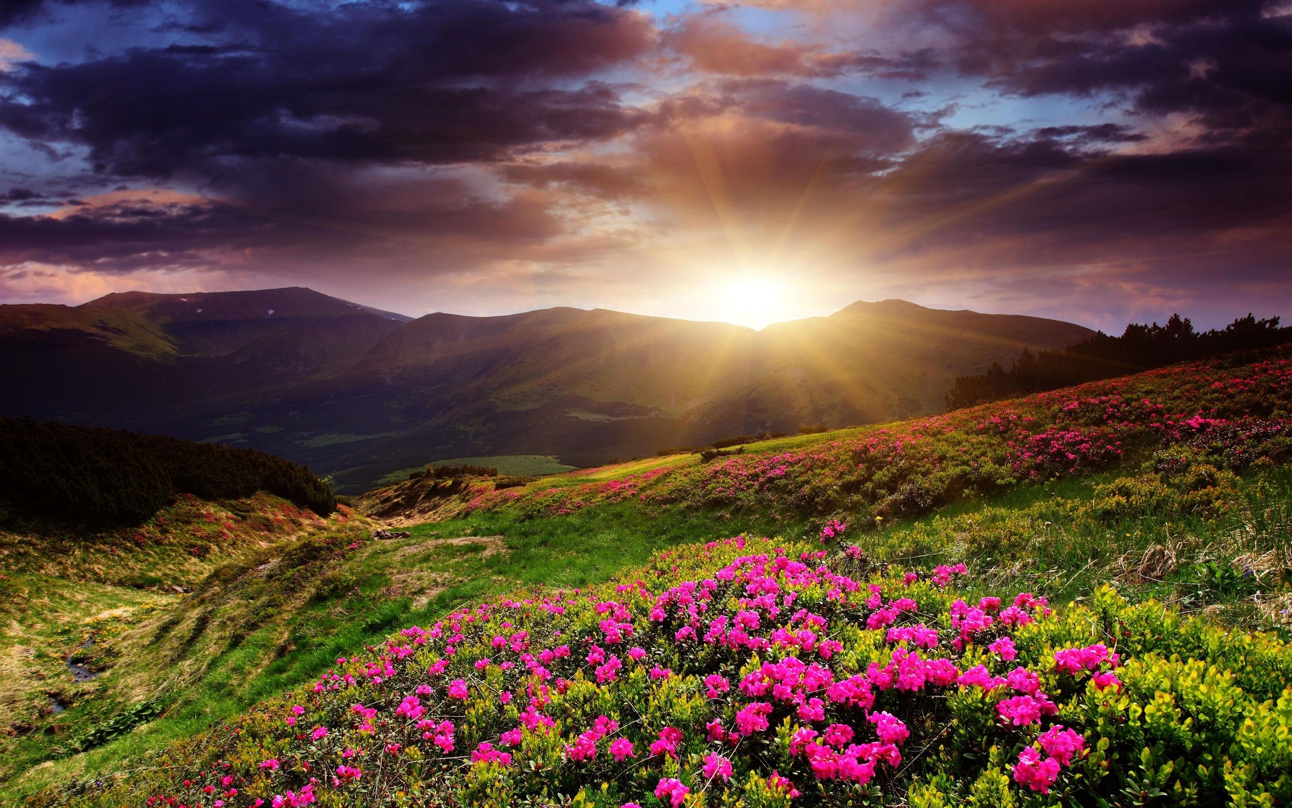 Beautiful Sunrise Wallpapers Wallpapers