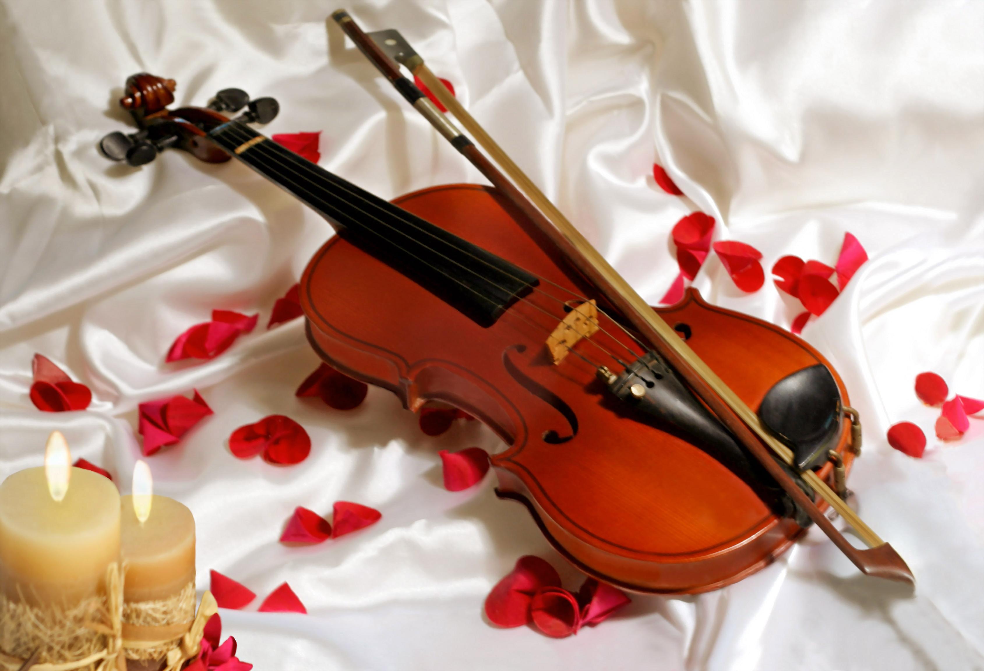 Beautiful Violin Wallpapers