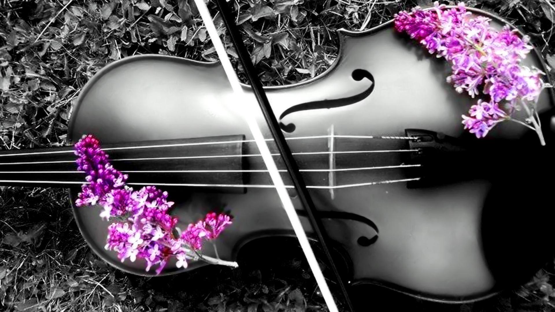 Beautiful Violin Wallpapers