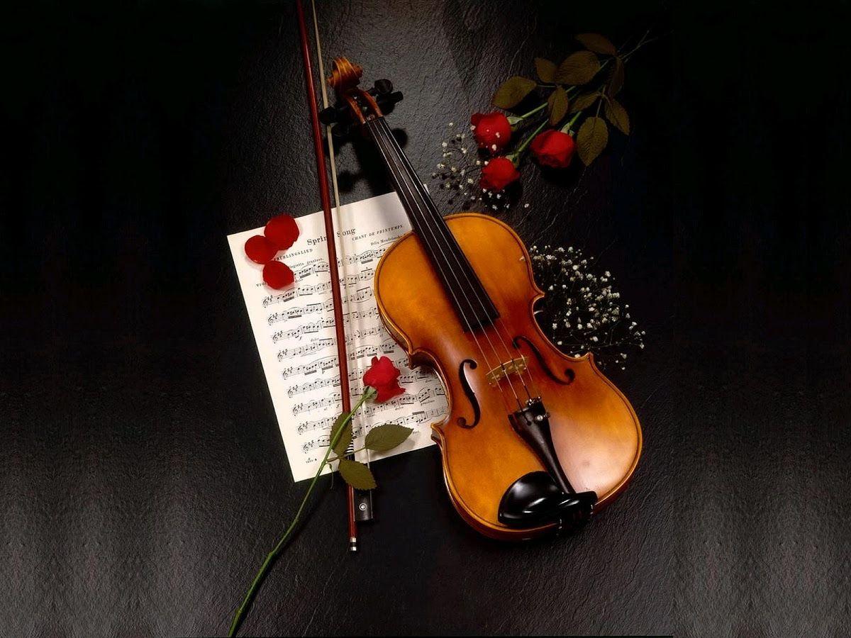 Beautiful Violin Wallpapers