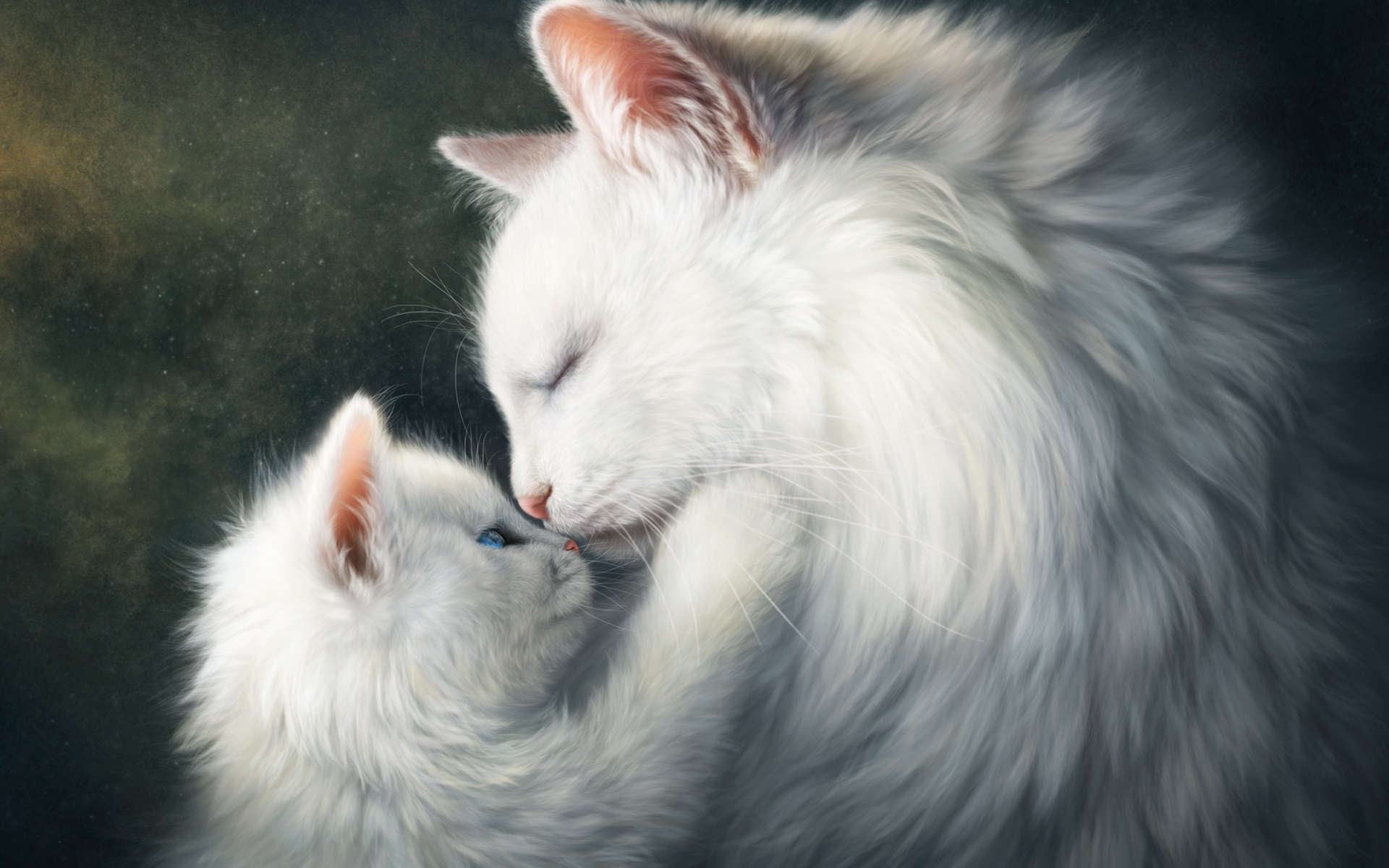 Beautiful White Cats Wallpapers