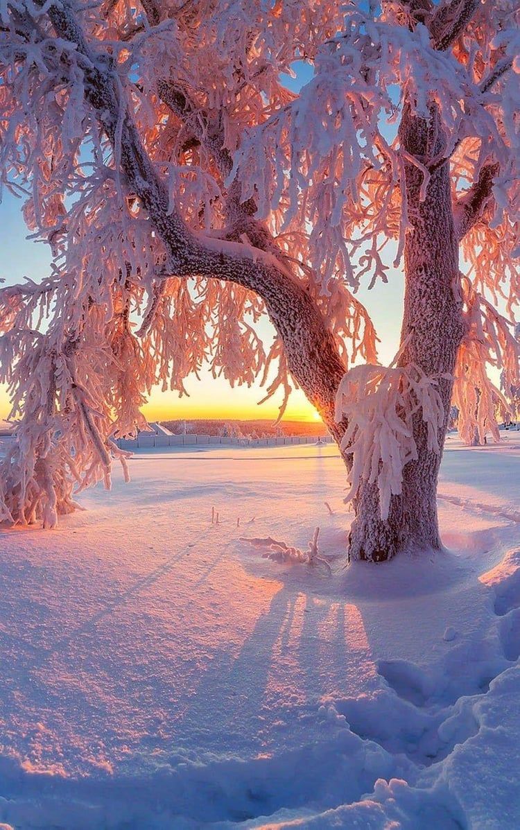 Beautiful Winter Wallpapers