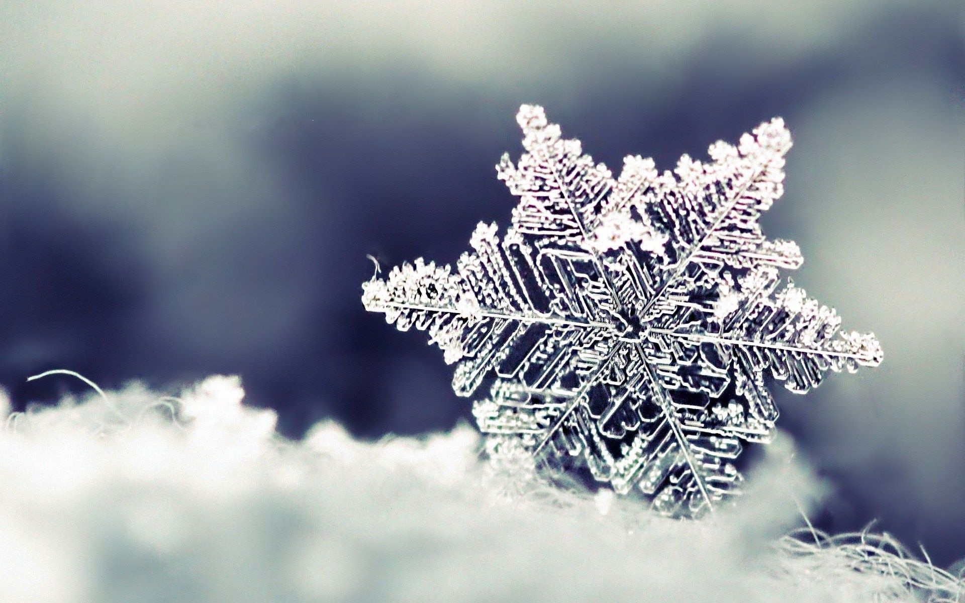 Beautiful Winter Wallpapers