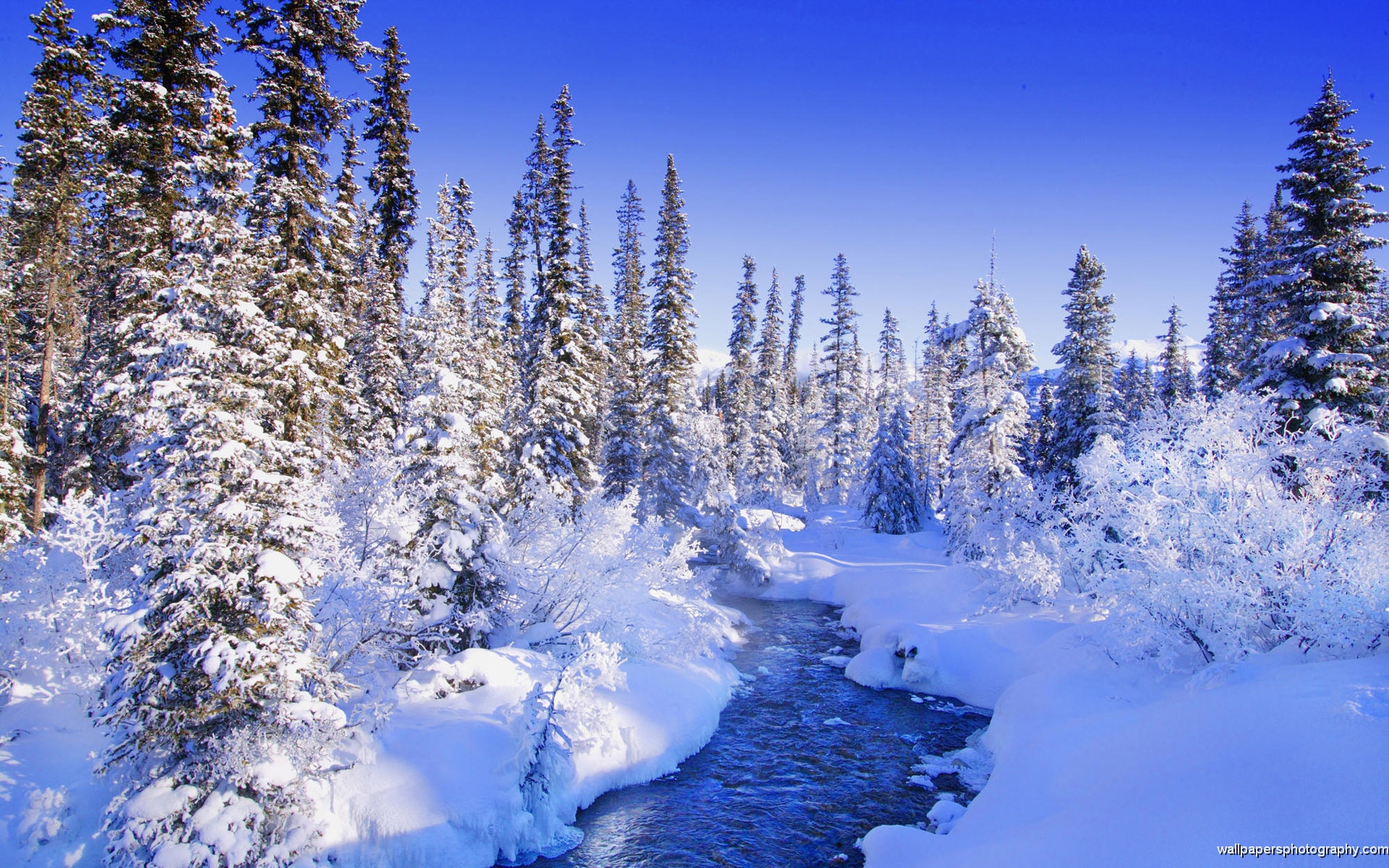 Beautiful Winter Scenes Wallpapers