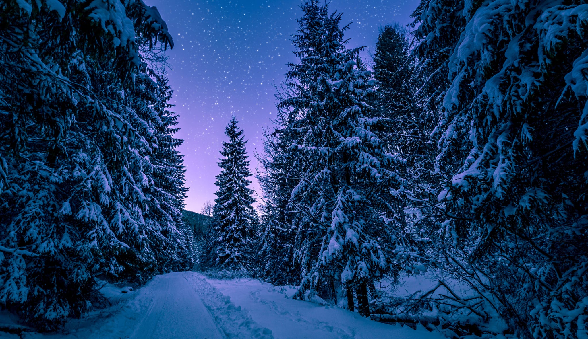 Beautiful Winter Scenes Wallpapers