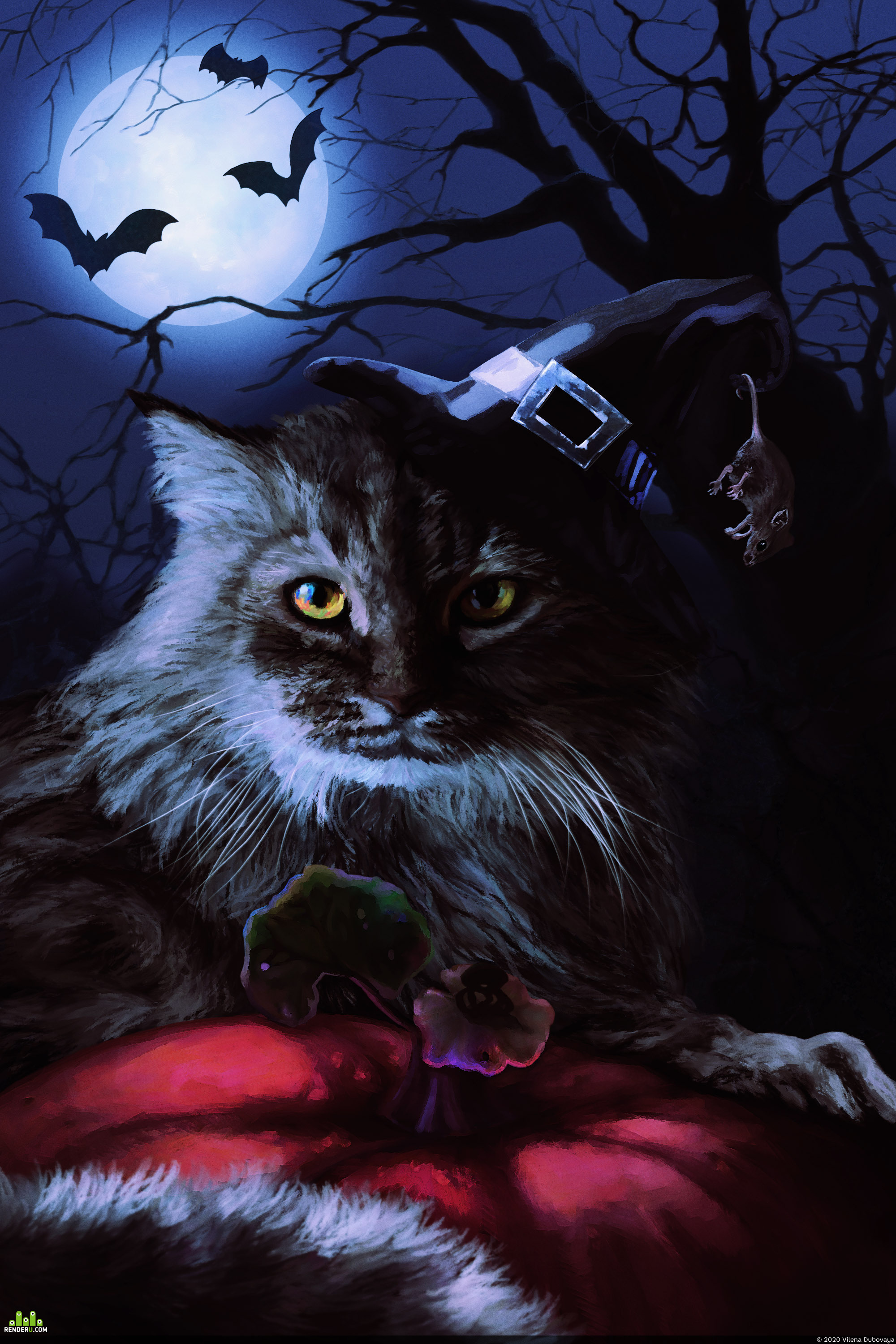 Beautiful Witch Cat Wallpapers