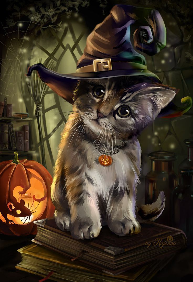 Beautiful Witch Cat Wallpapers