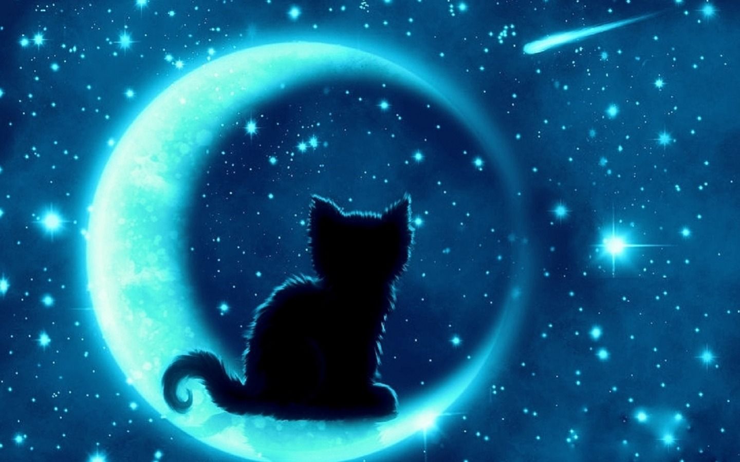 Beautiful Witch Cat Wallpapers