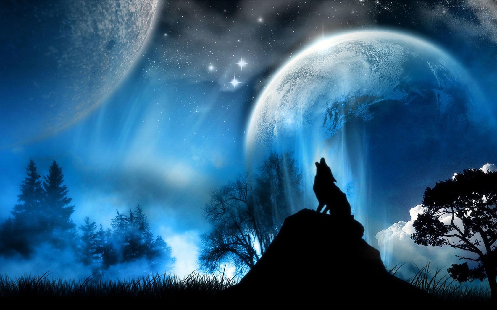 Beautiful Wolves Wallpapers