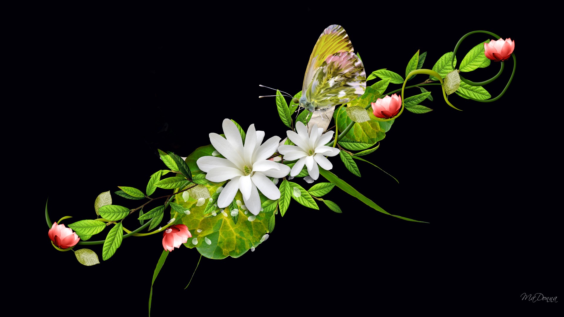 Cute 3D Flowers Wallpapers