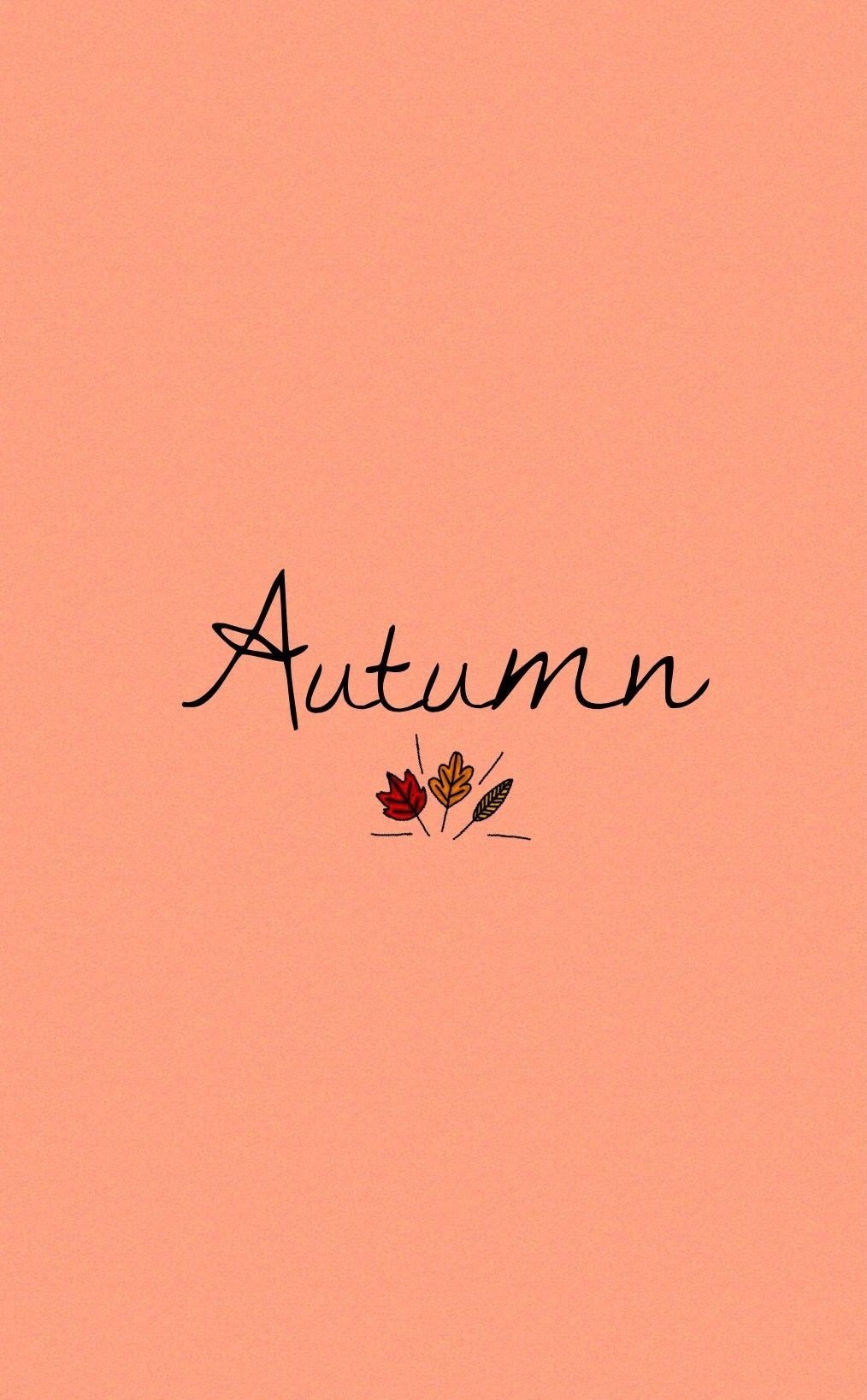 Cute Aesthetic Autumn Wallpapers Wallpapers