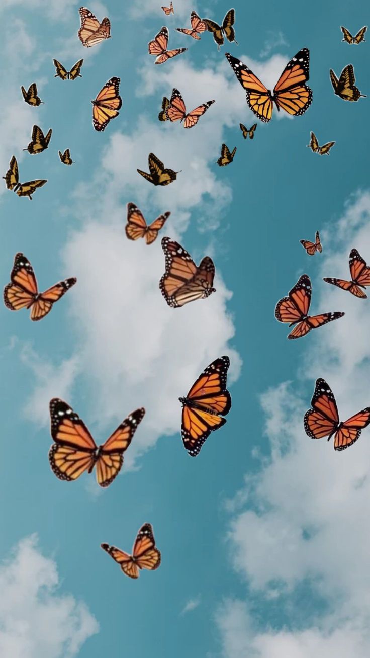 Cute Aesthetic Butterflies Wallpapers Wallpapers