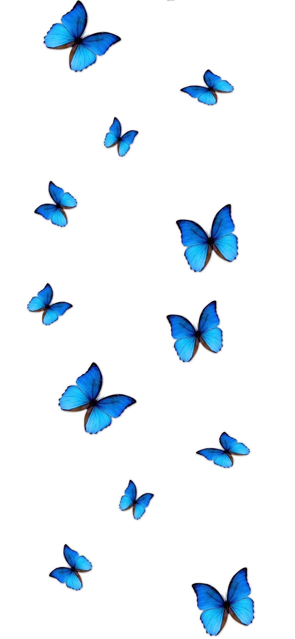 Cute Aesthetic Butterflies Wallpapers Wallpapers
