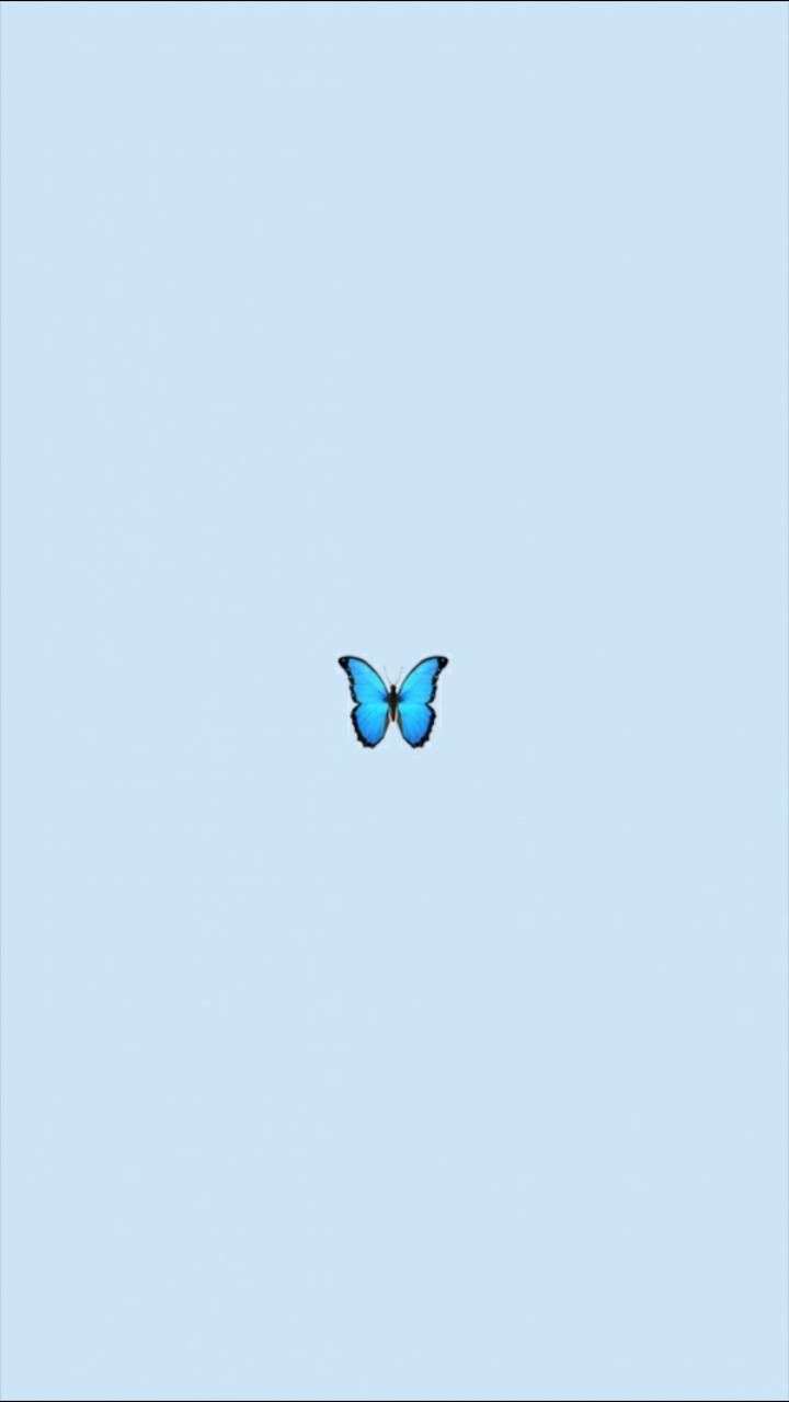 Cute Aesthetic Butterflies Wallpapers Wallpapers