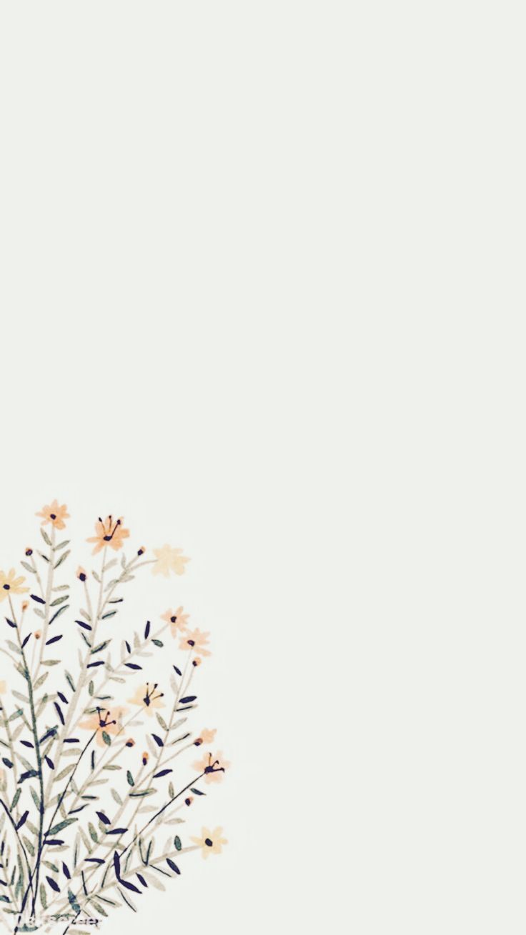 Cute Aesthetic Phone Wallpapers